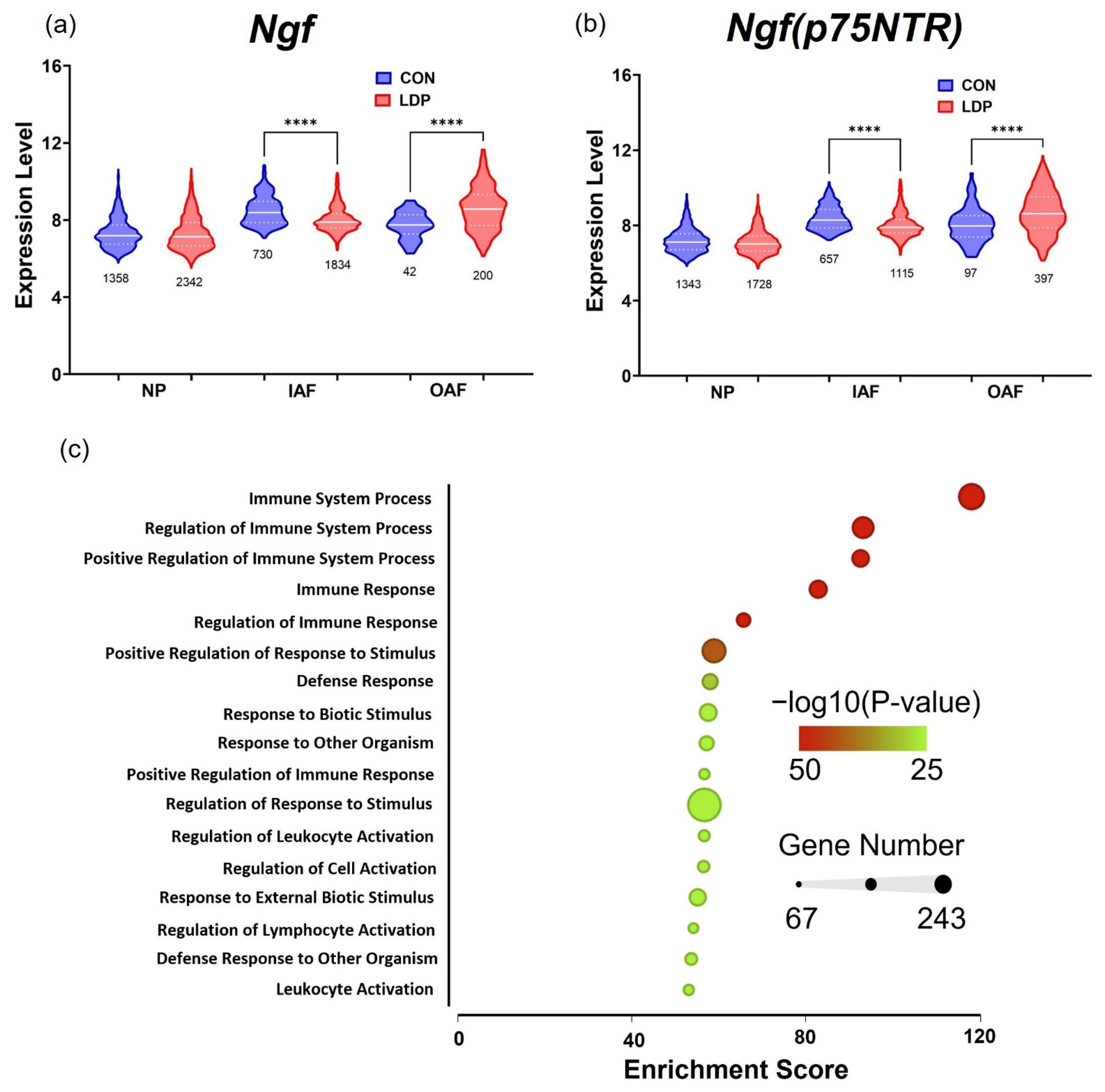 Applsci 12 08244 g006
