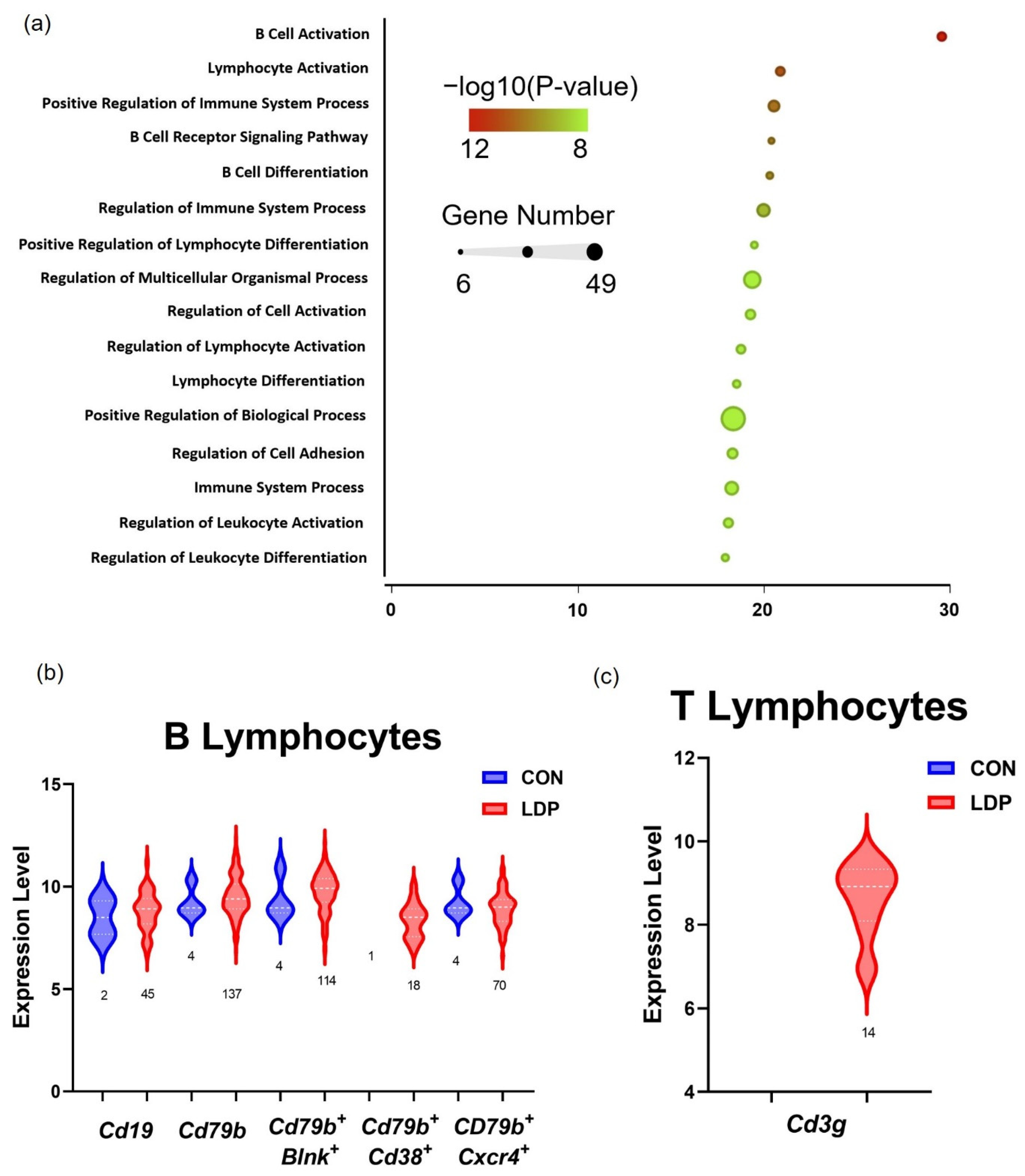 Applsci 12 08244 g008