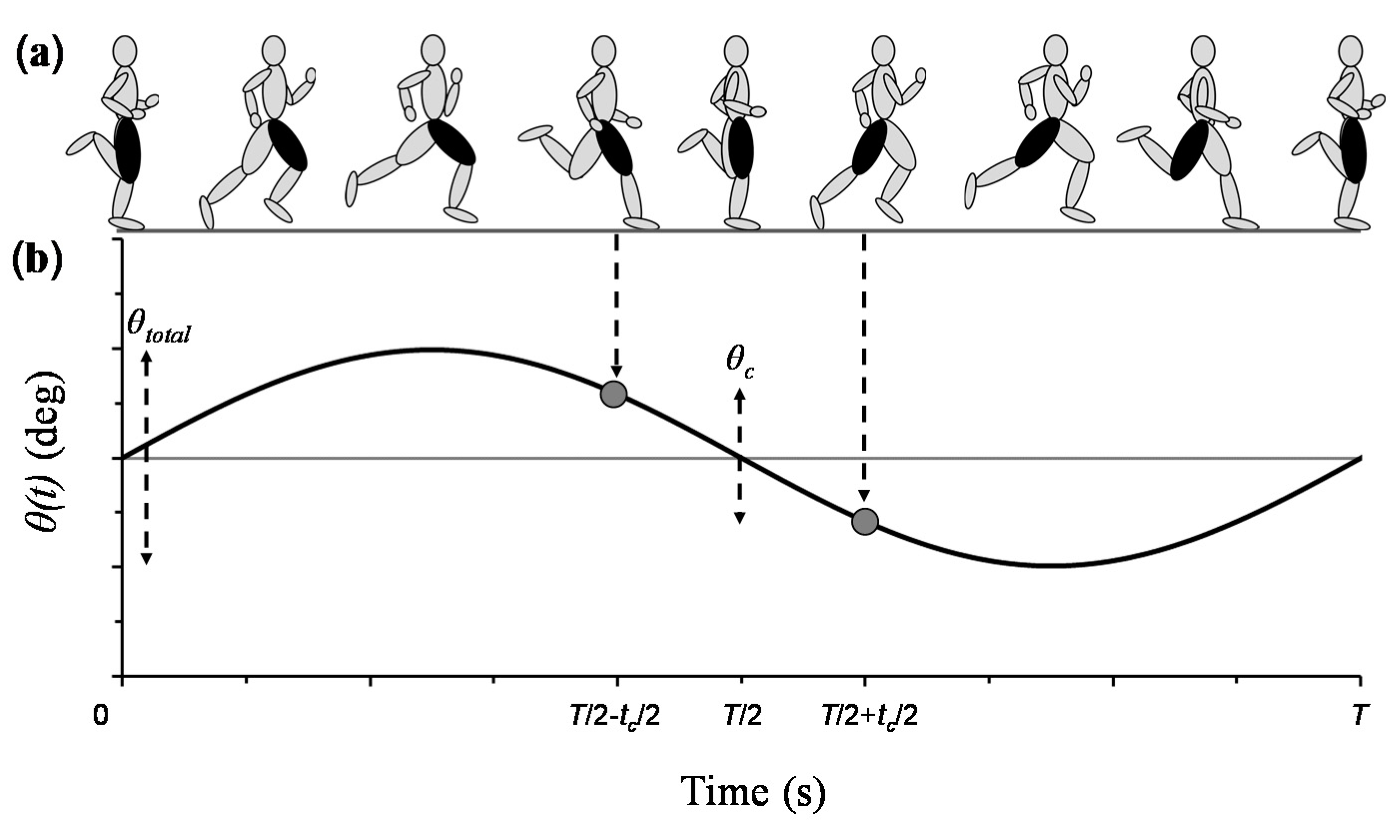 Applied Sciences | Free Full-Text | Determinants of Top Speed