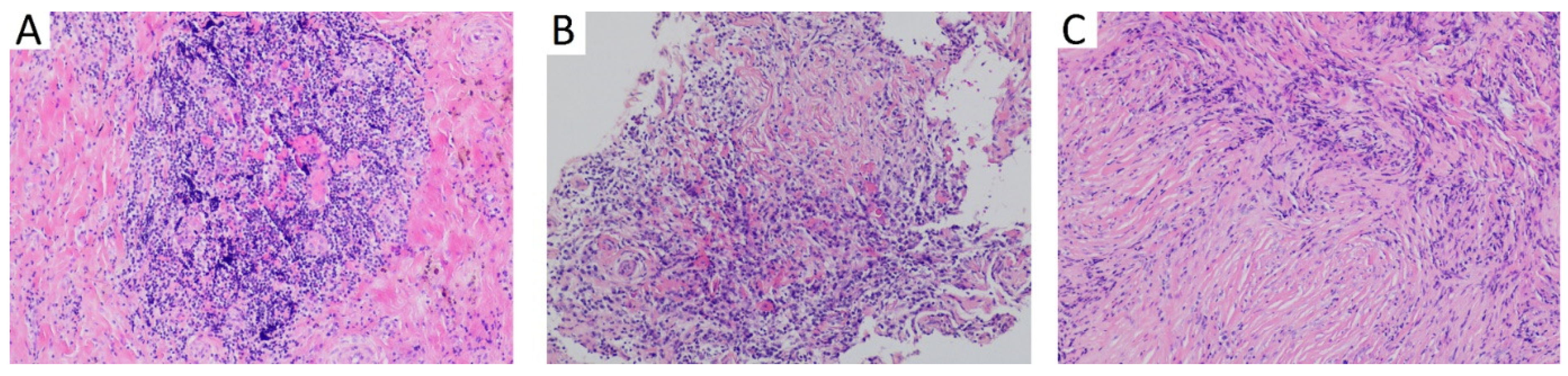 Applsci 12 08353 g003