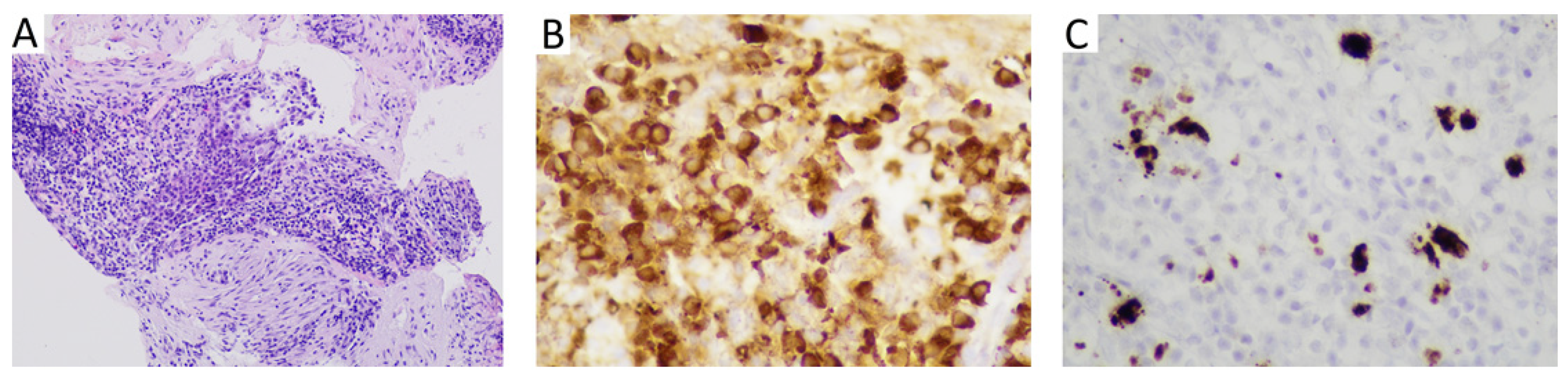 Applsci 12 08353 g005