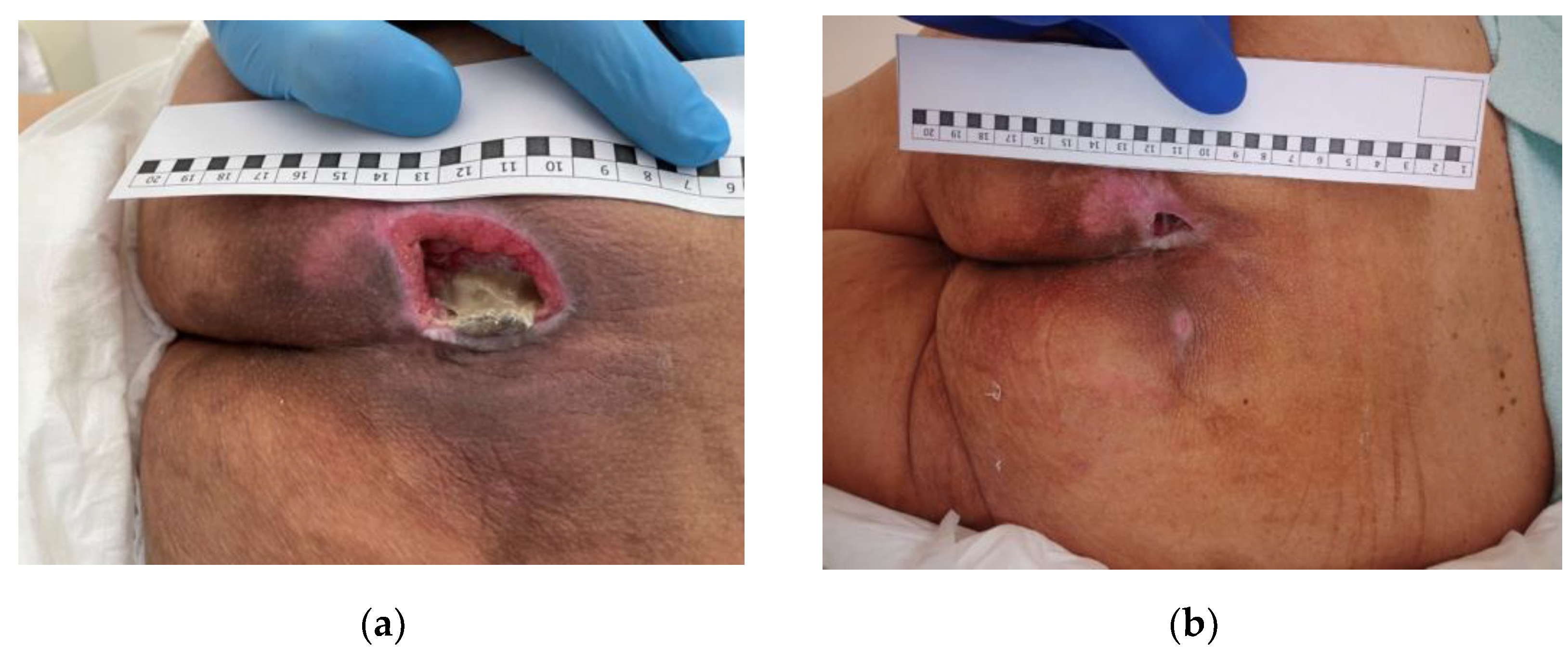 Applsci 12 08354 g005