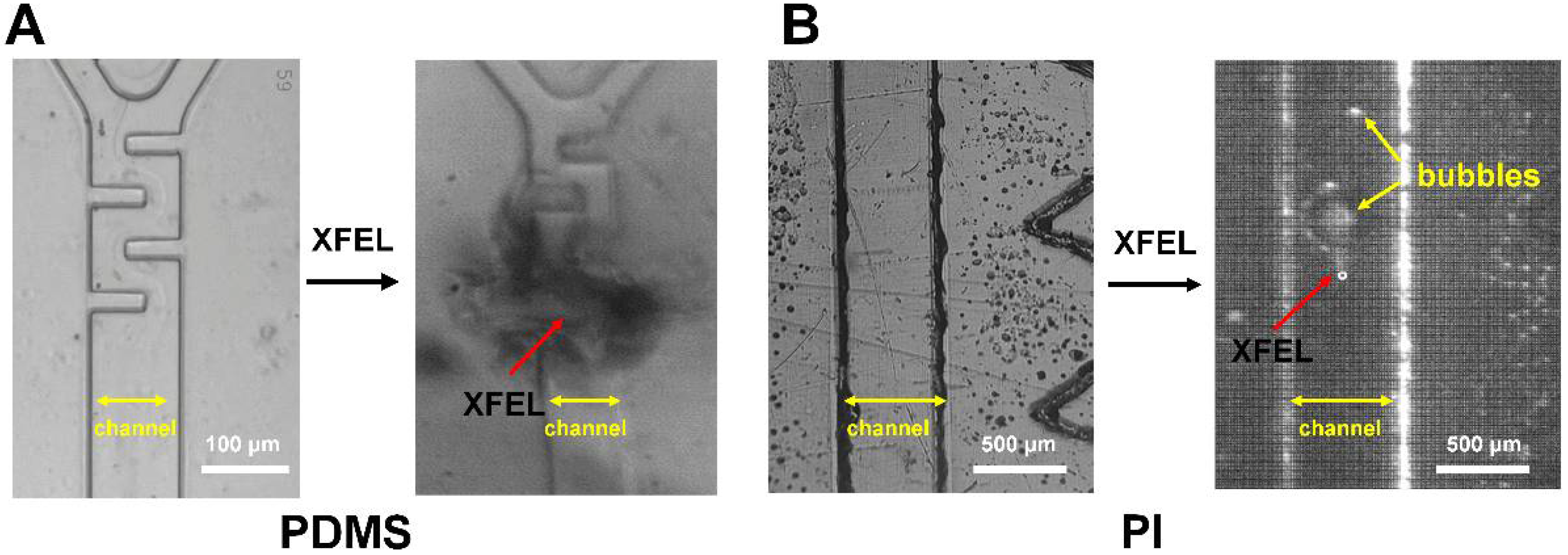 Applsci 12 08431 g004