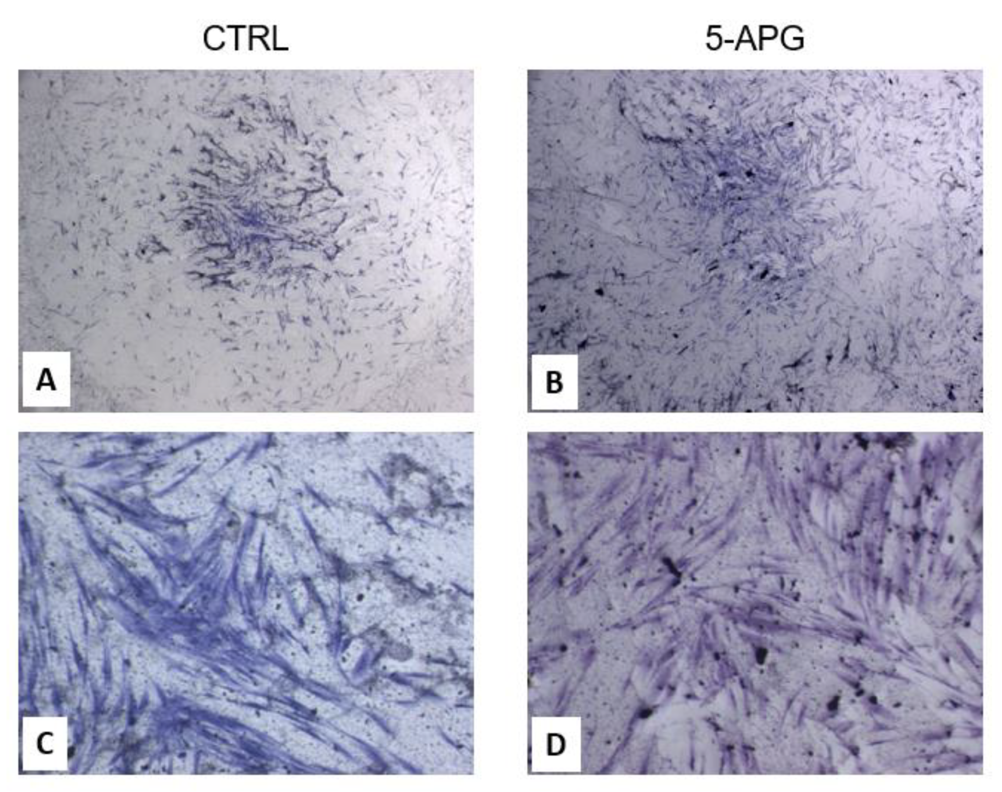 Applsci 12 08510 g002