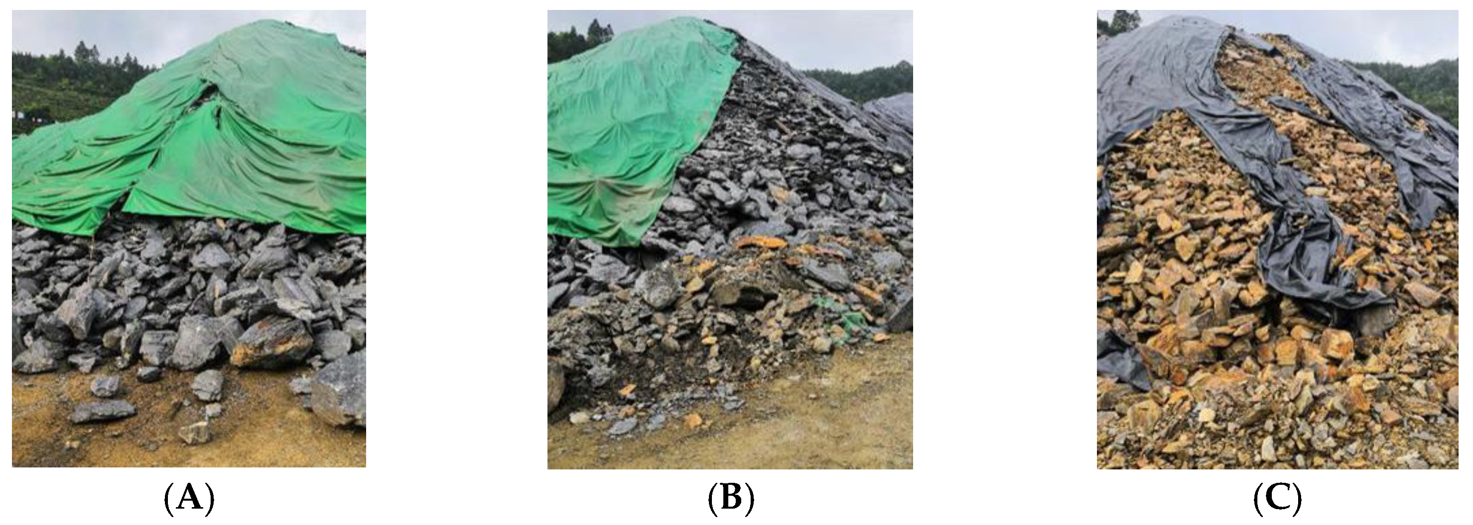 Applsci 12 08572 g001