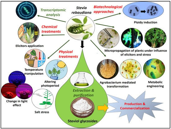 Applied Sciences | Free Full-Text | Critical Review on Key Approaches ...