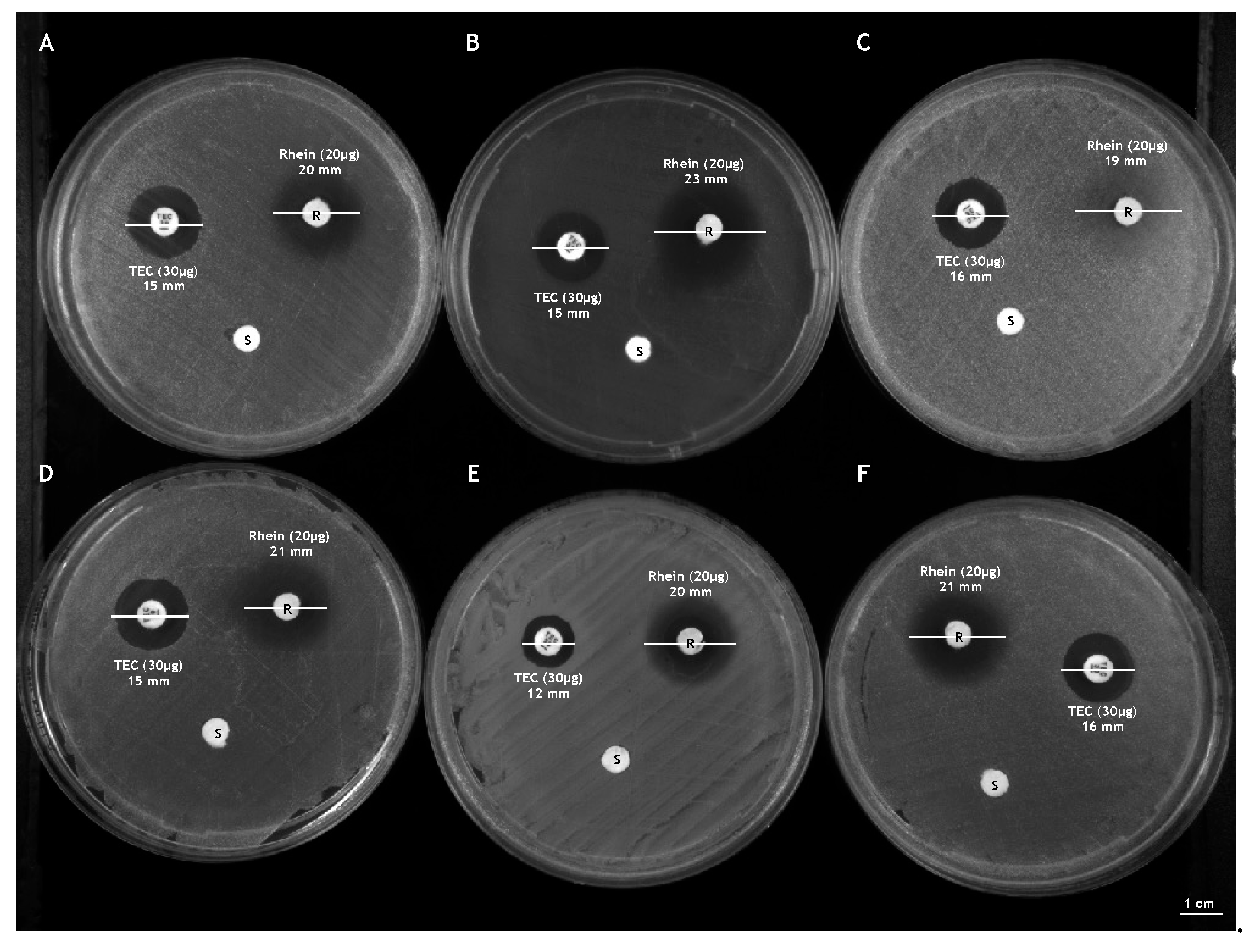 Applsci 12 08691 g003