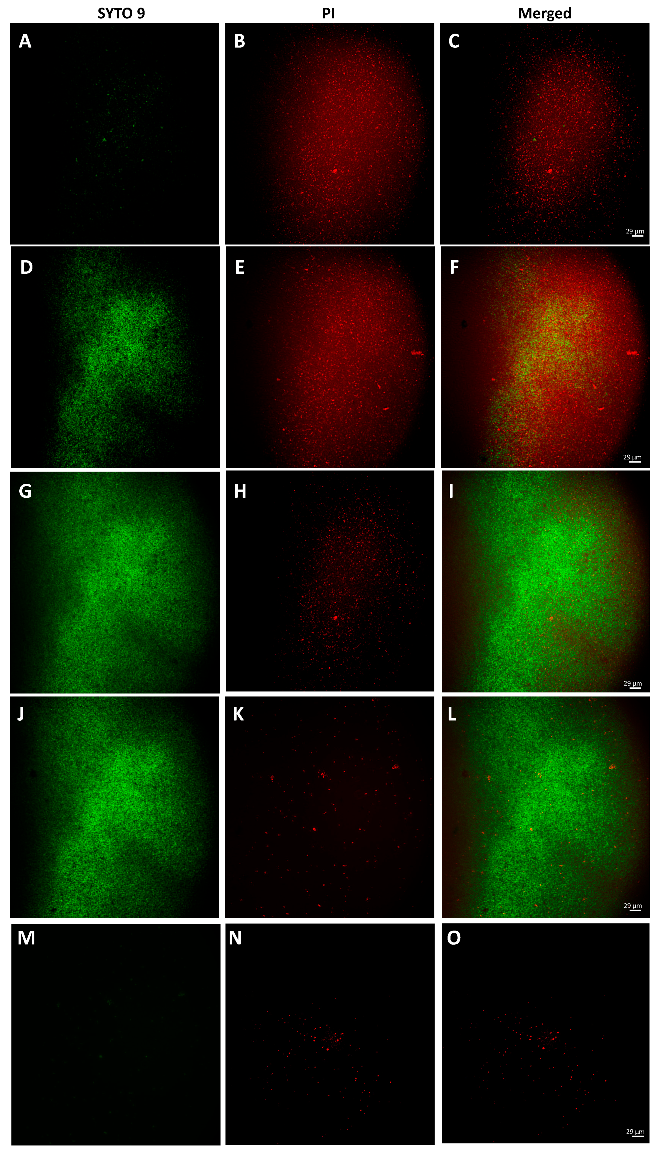 Applsci 12 08691 g005