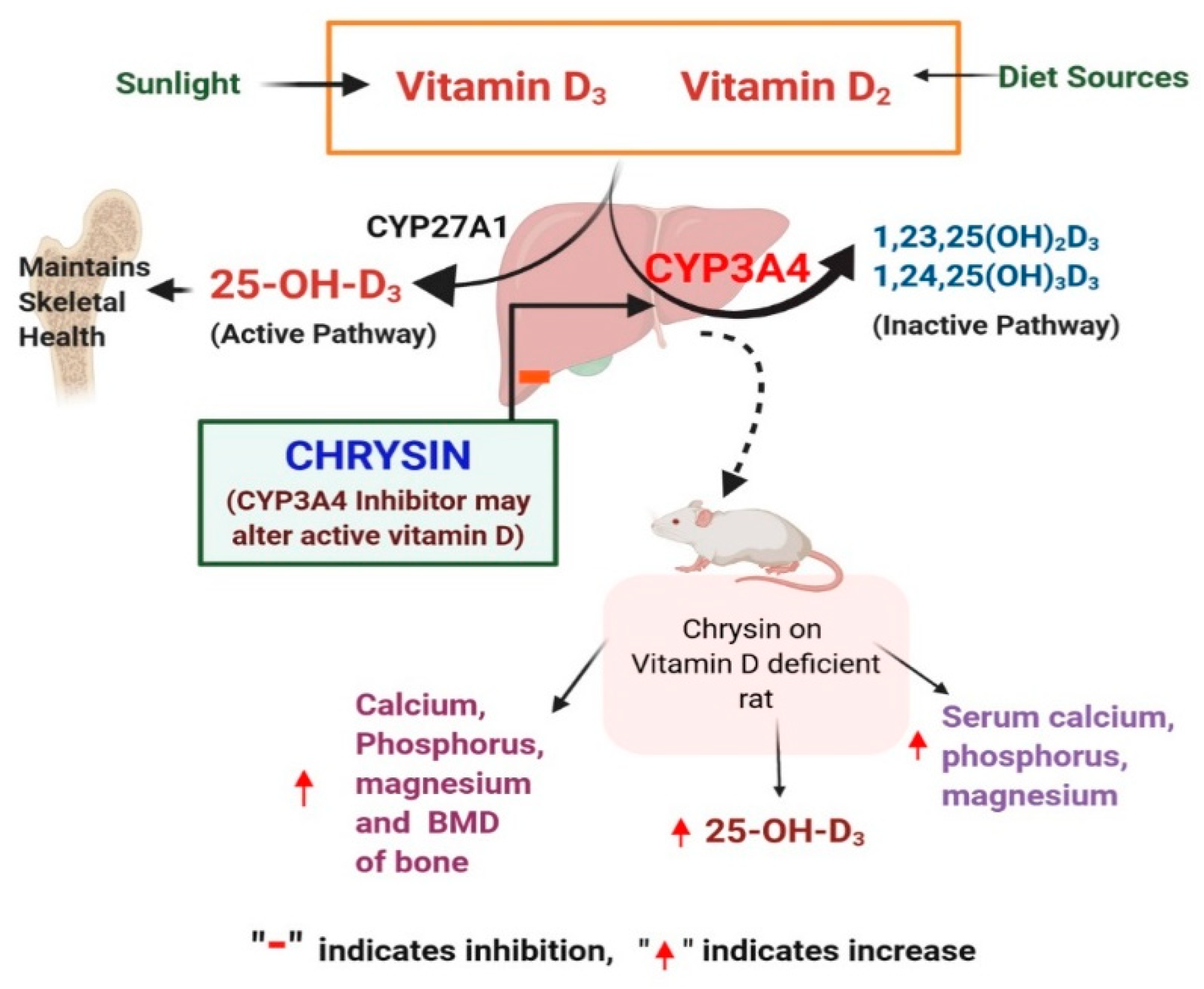 Applsci 12 08728 g001 Applsci 12 08728 g001