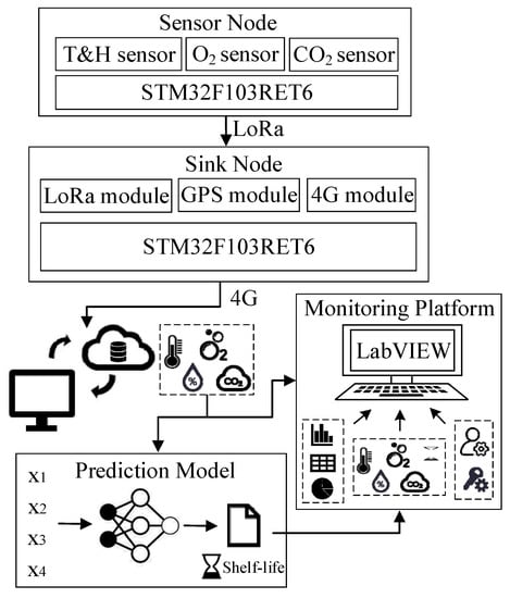 https://www.mdpi.com/applsci/applsci-12-08872/article_deploy/html/images/applsci-12-08872-g001-550.jpg