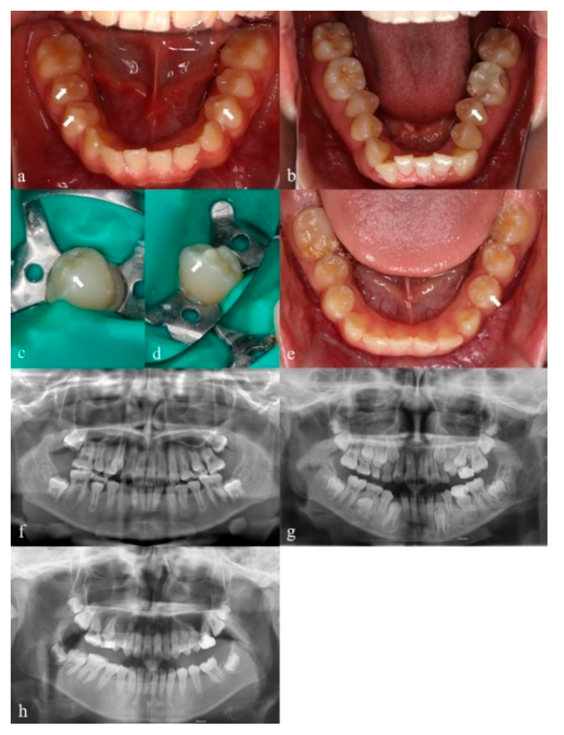 Applsci 12 08962 g002