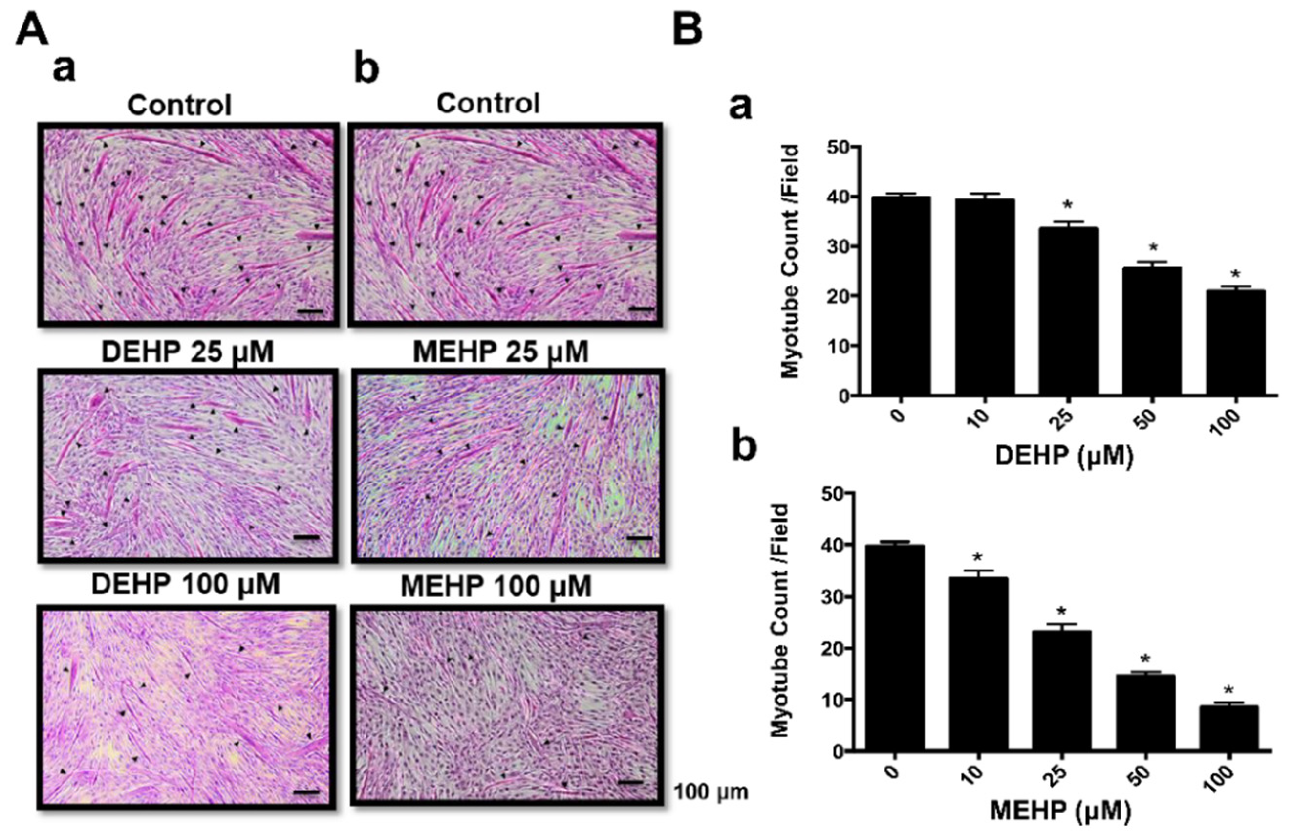 Applsci 12 09195 g003