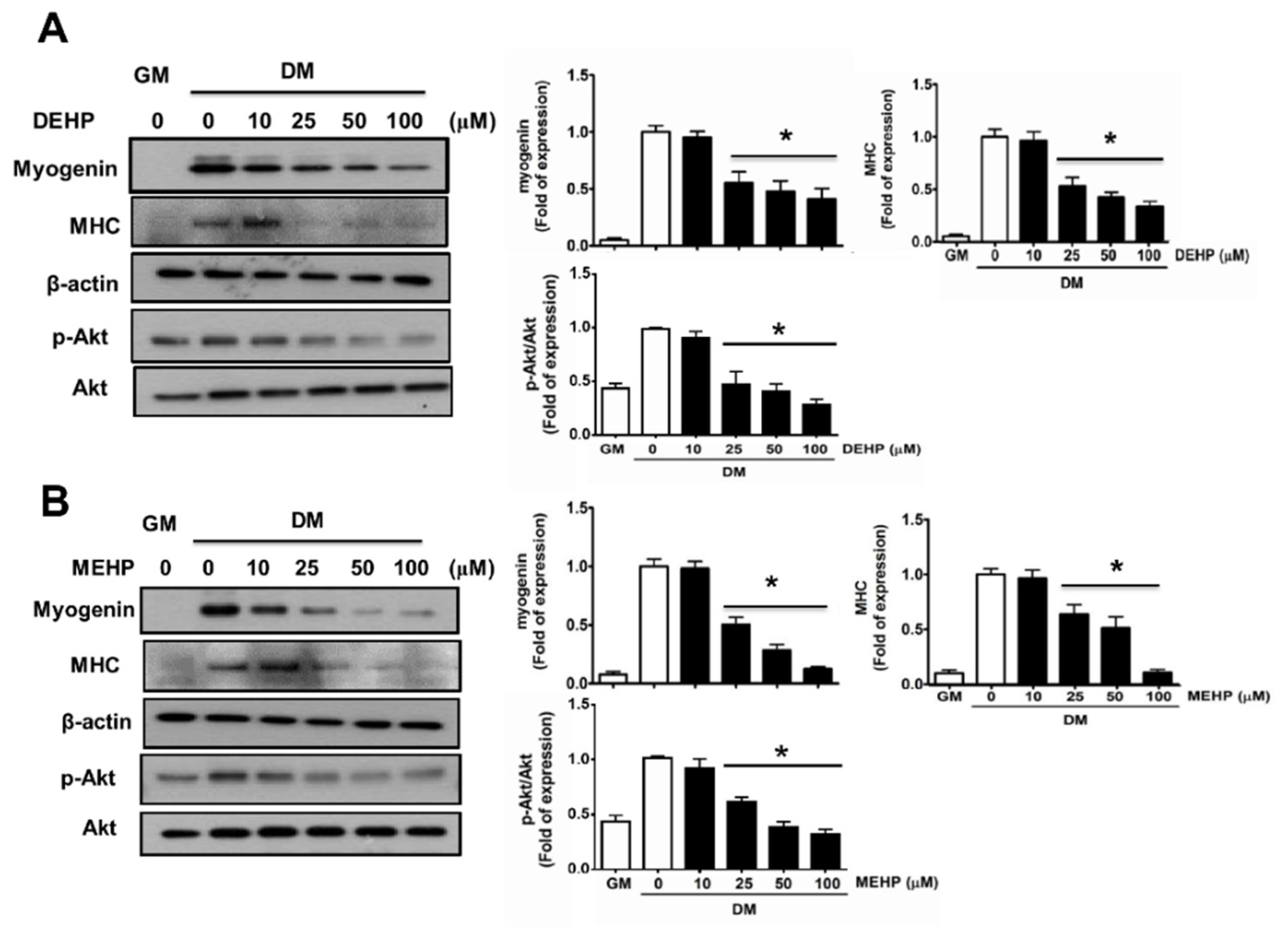 Applsci 12 09195 g004