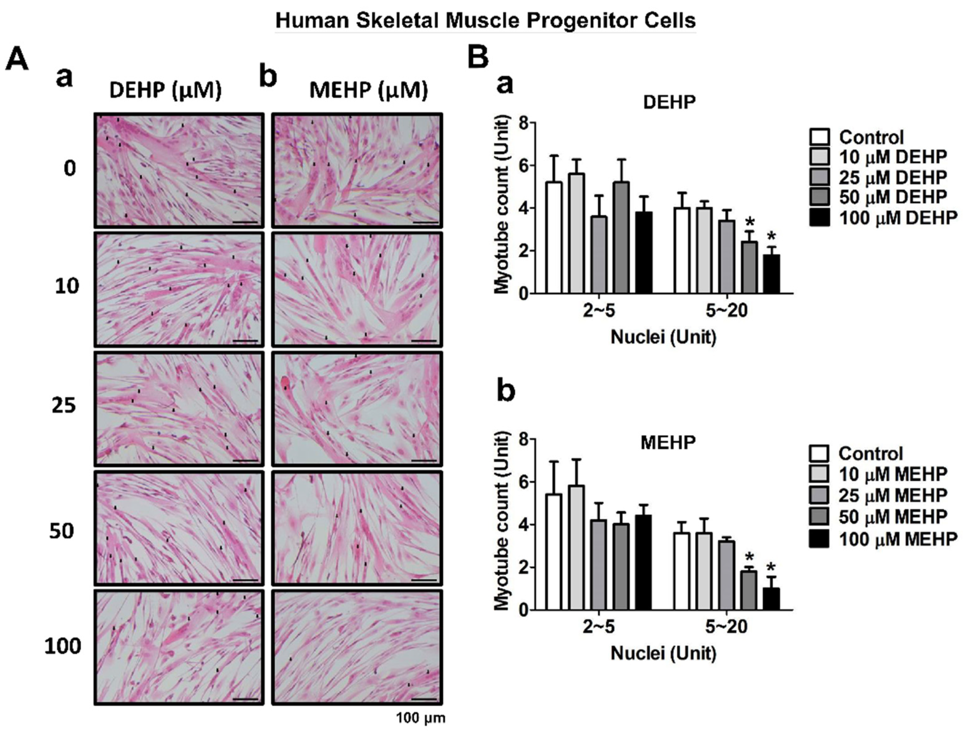 Applsci 12 09195 g005