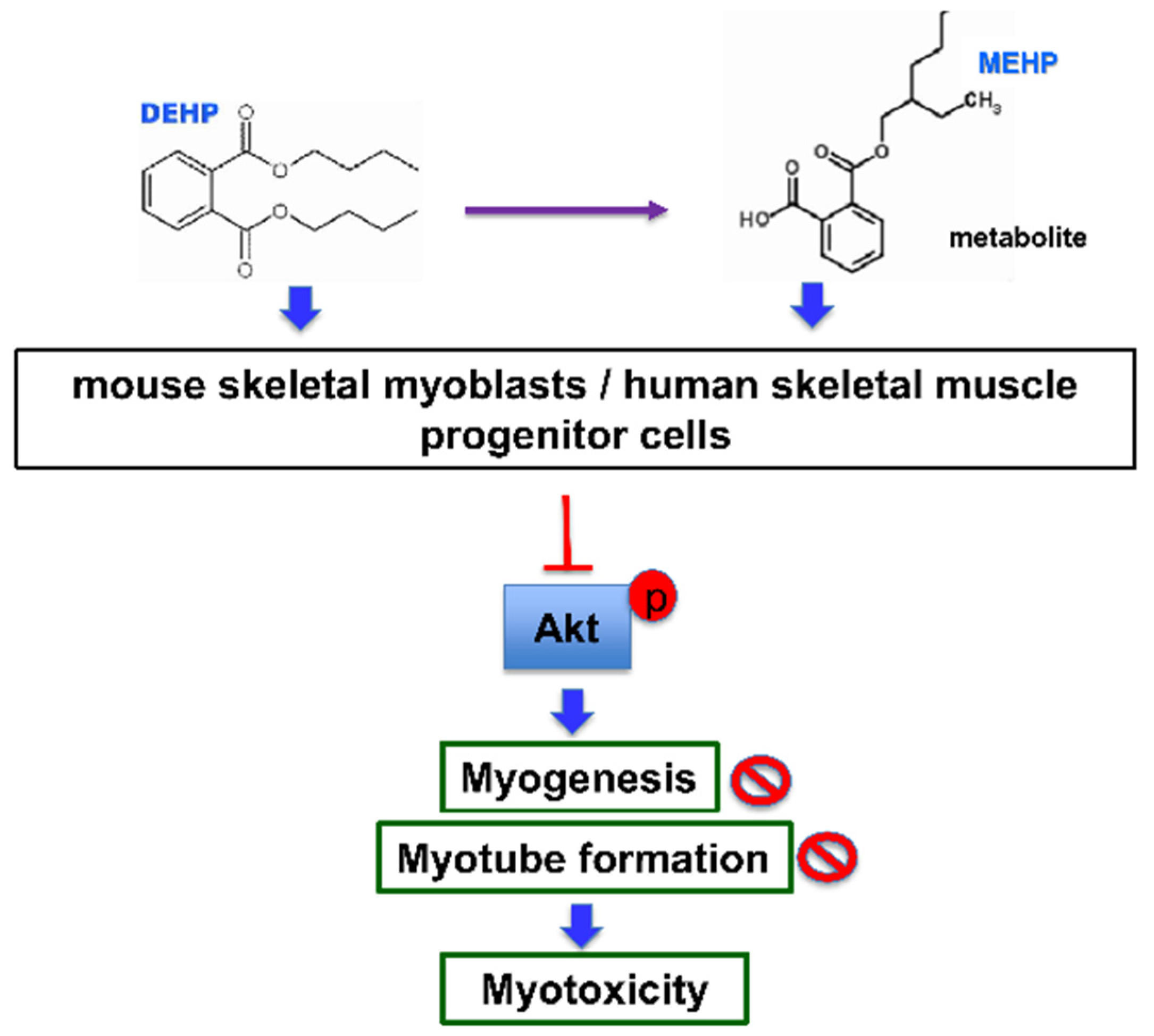 Applsci 12 09195 g007