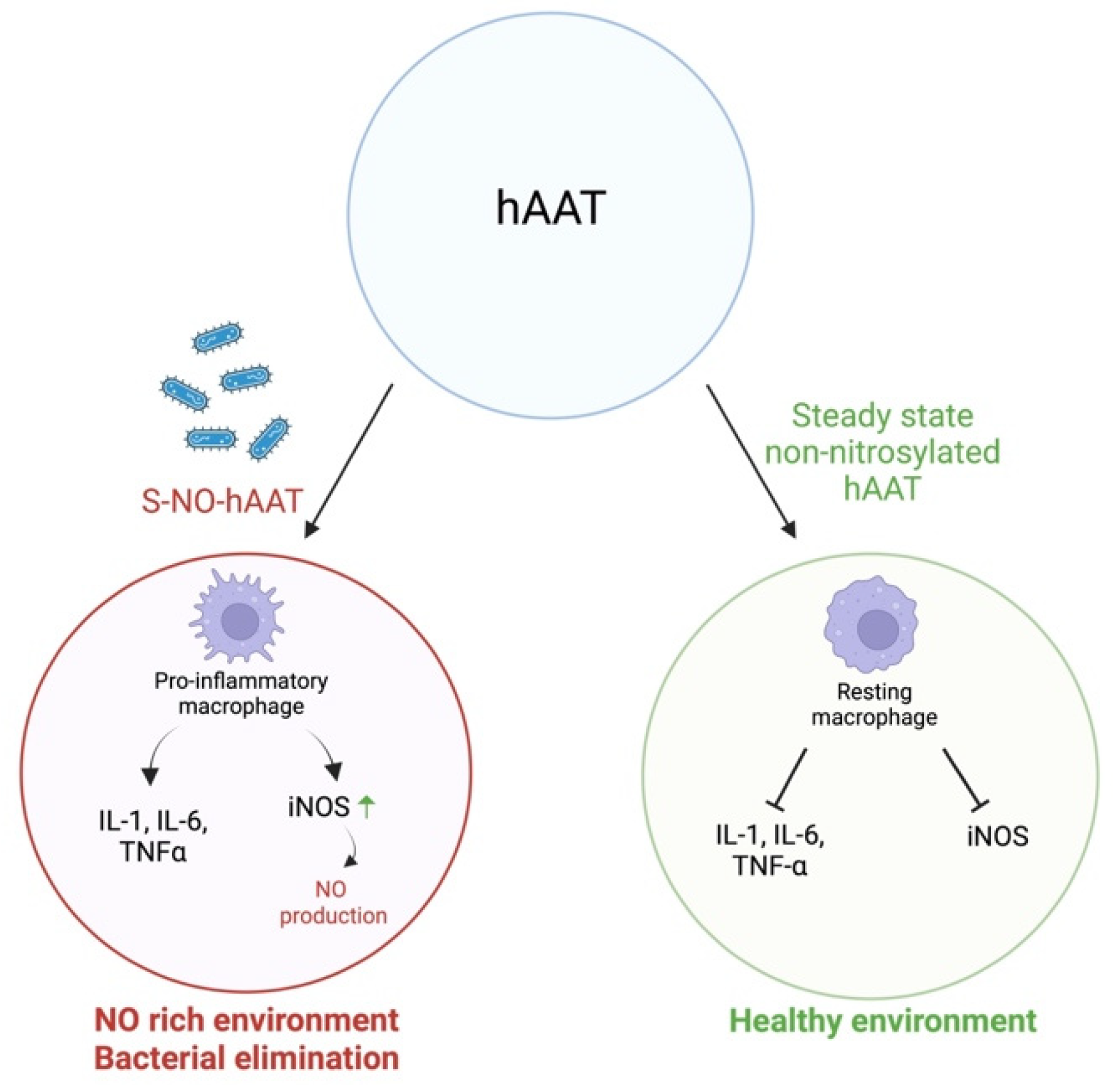 Applsci 12 09359 g002 Applsci 12 09359 g002