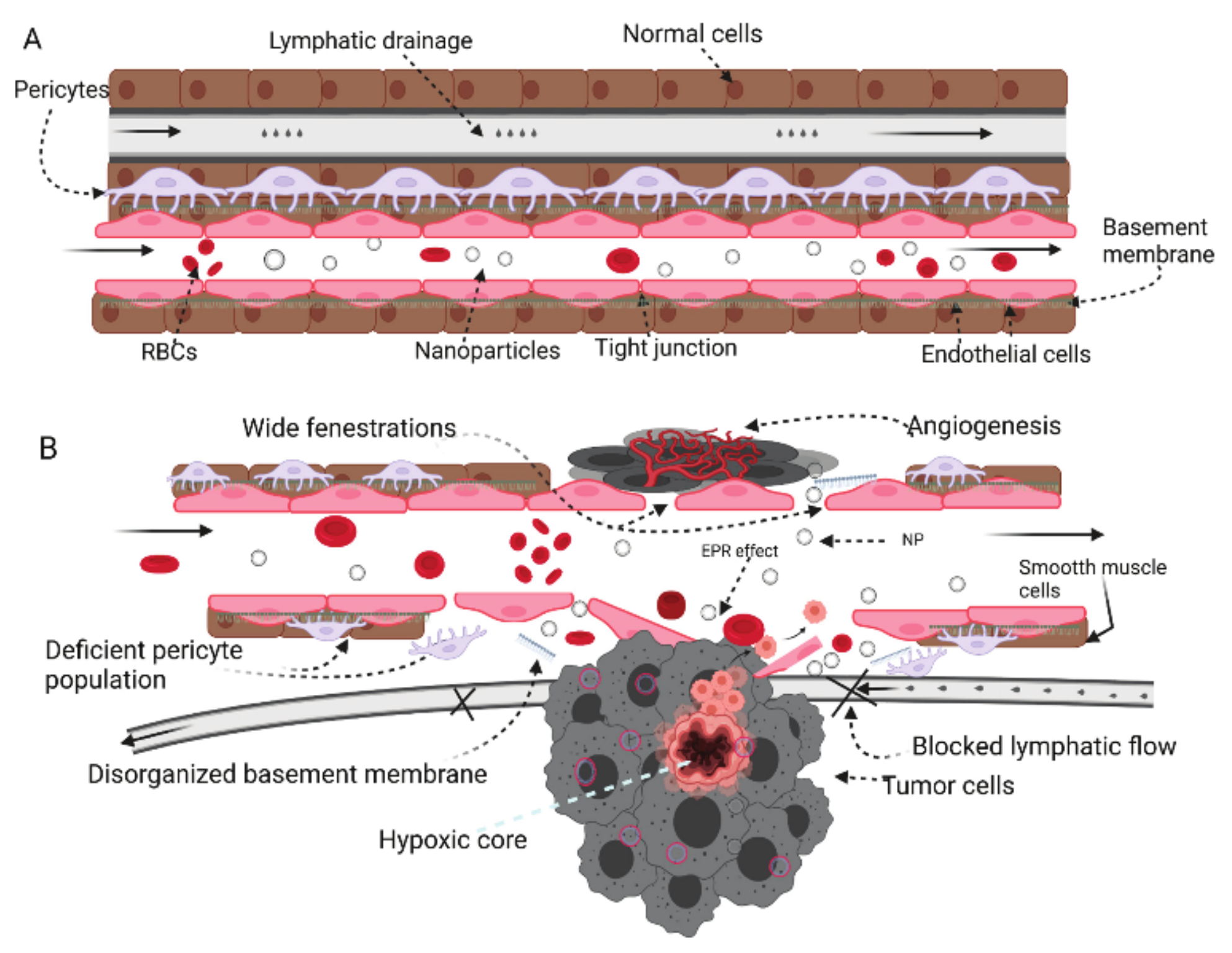 Applsci 12 09479 g004 Applsci 12 09479 g004