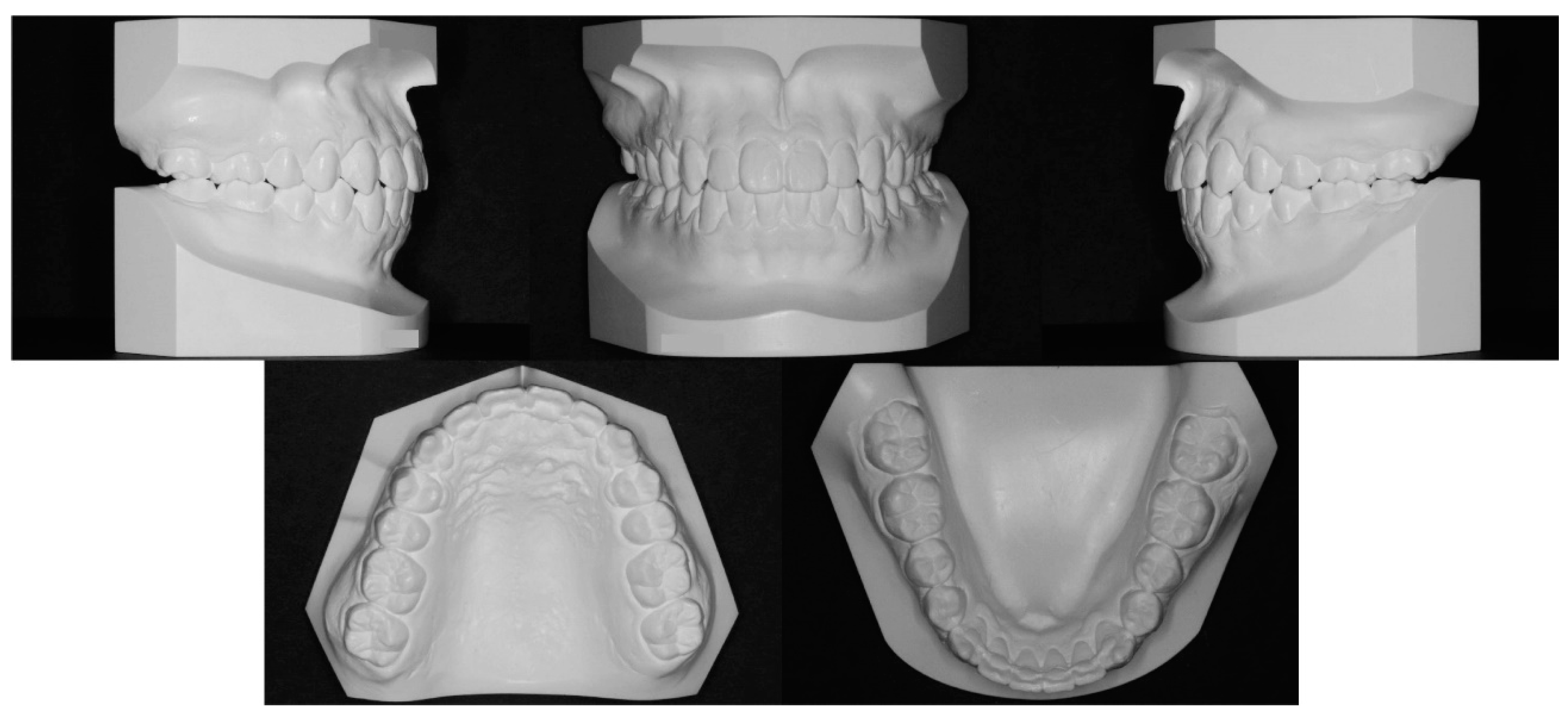 Applsci 12 09494 g011