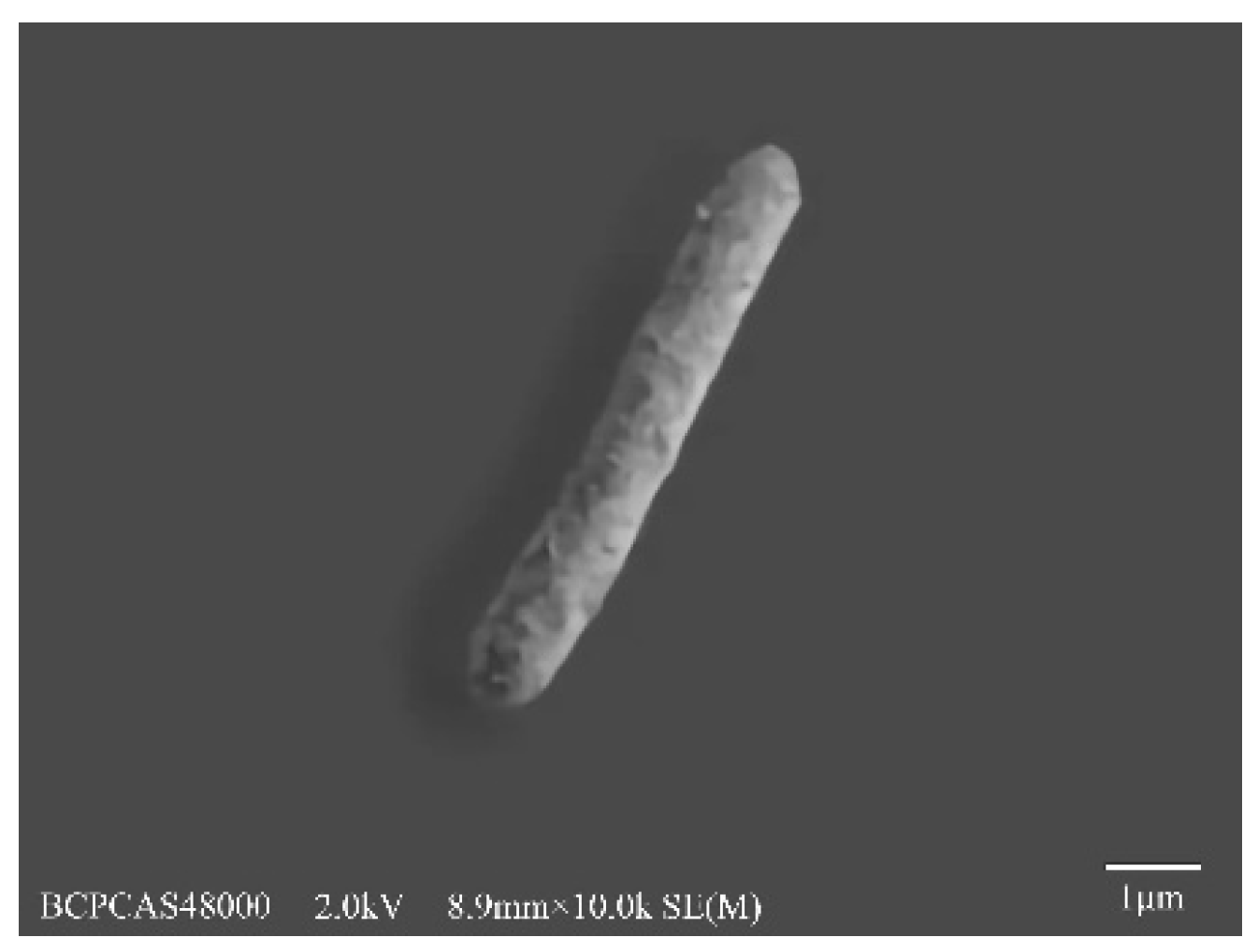 Applsci 12 09562 g001