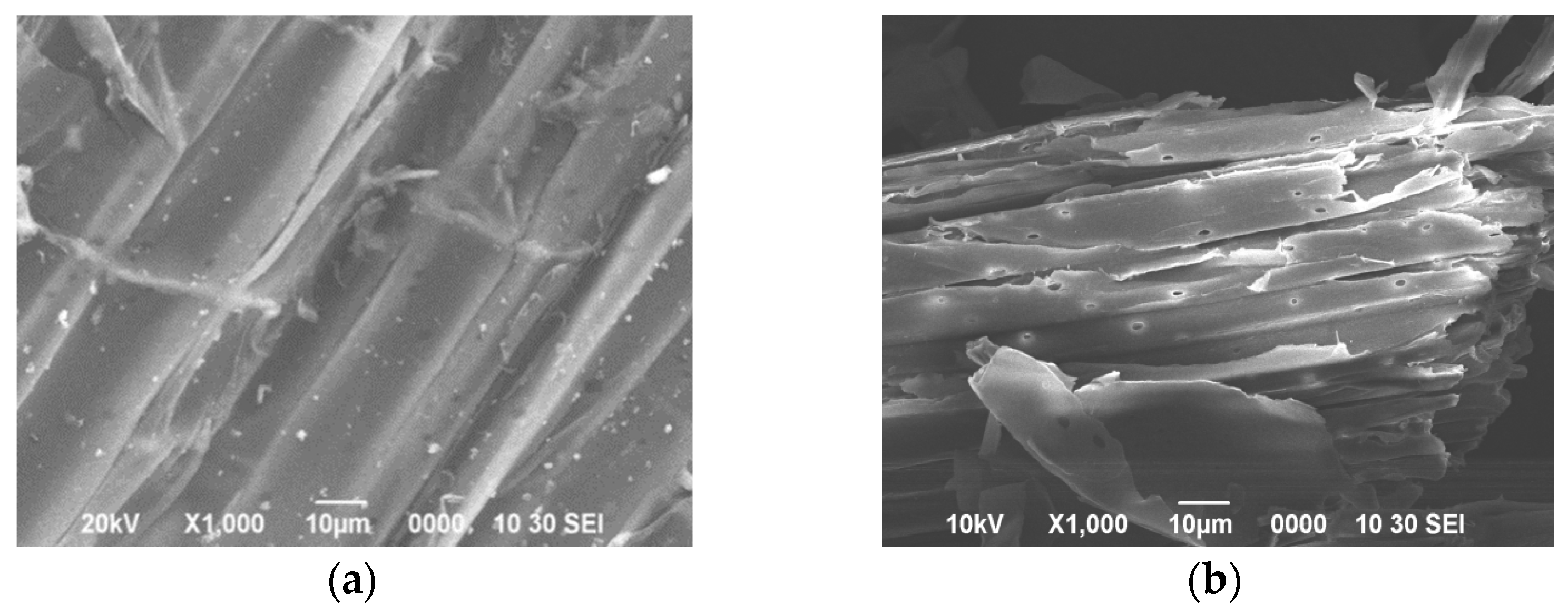 Applsci 12 09562 g006