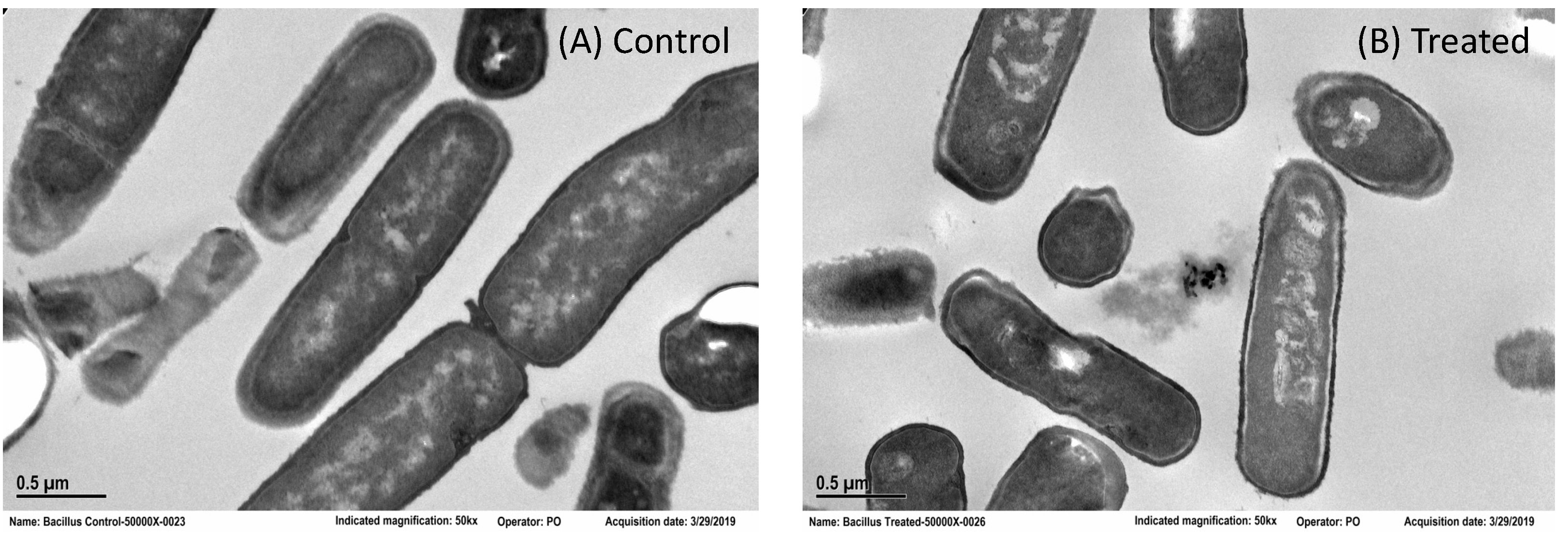 Applsci 12 09633 g006