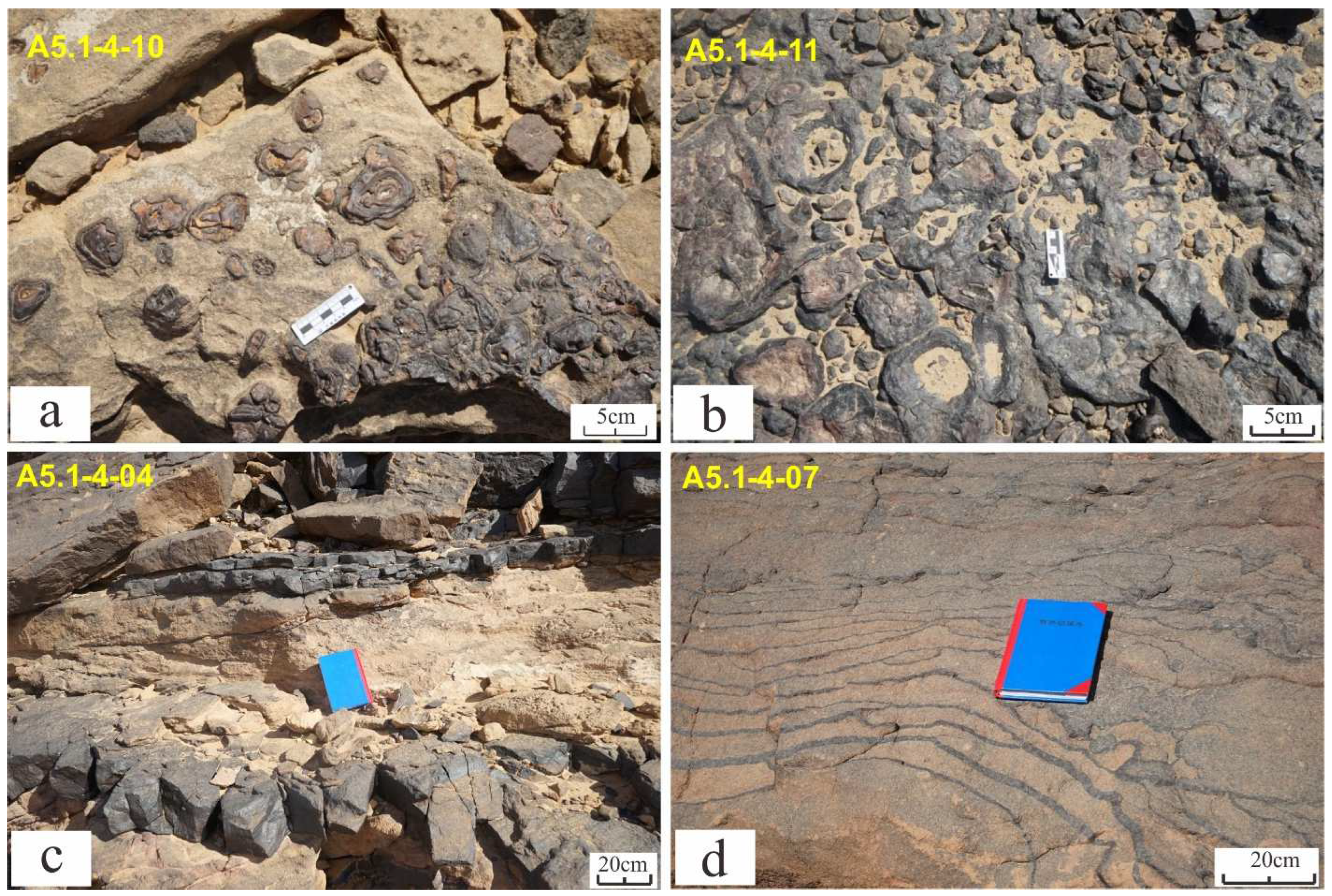 Applsci 12 09643 g010