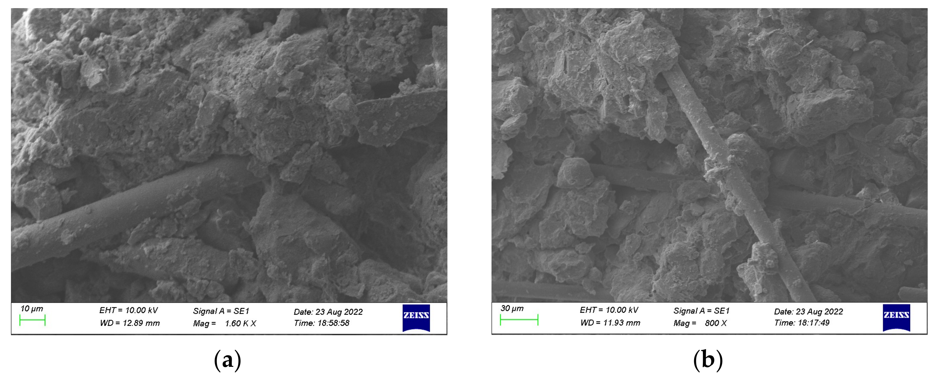 Applsci 12 09744 g006