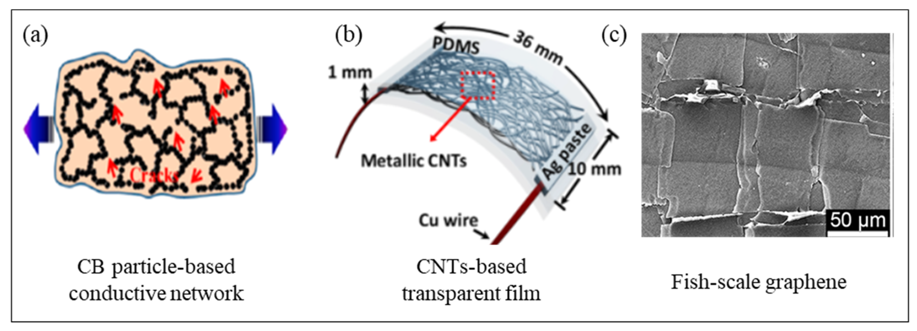 Applsci 12 09750 g006 Applsci 12 09750 g006