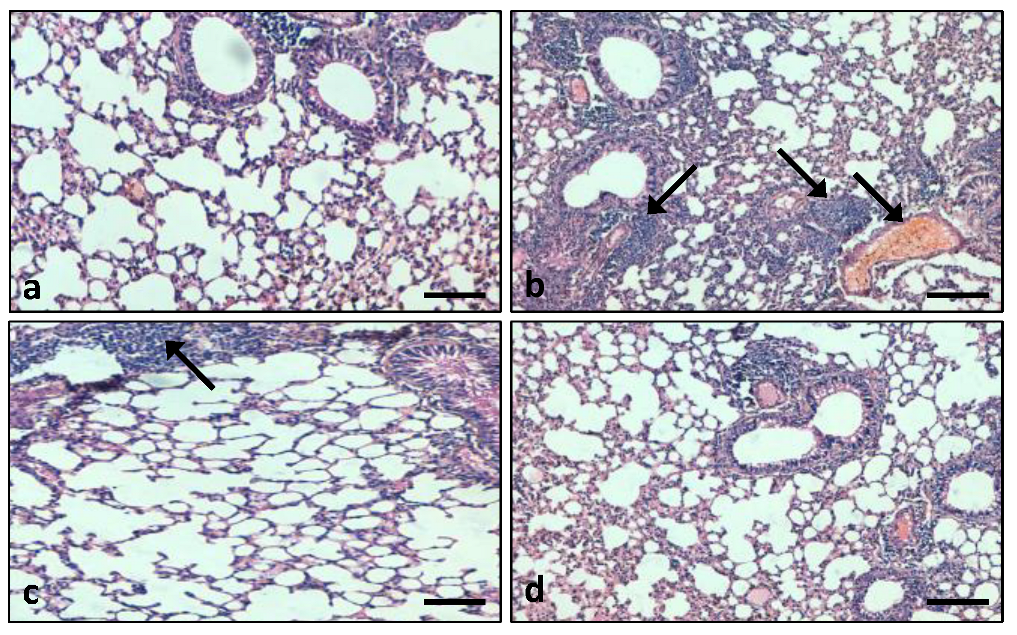 Applsci 12 09925 g011 Applsci 12 09925 g011