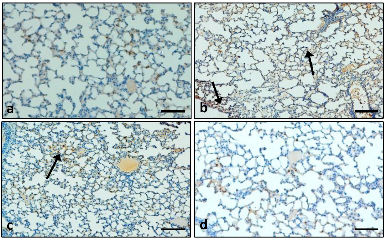 Applsci 12 09925 g012 Applsci 12 09925 g012