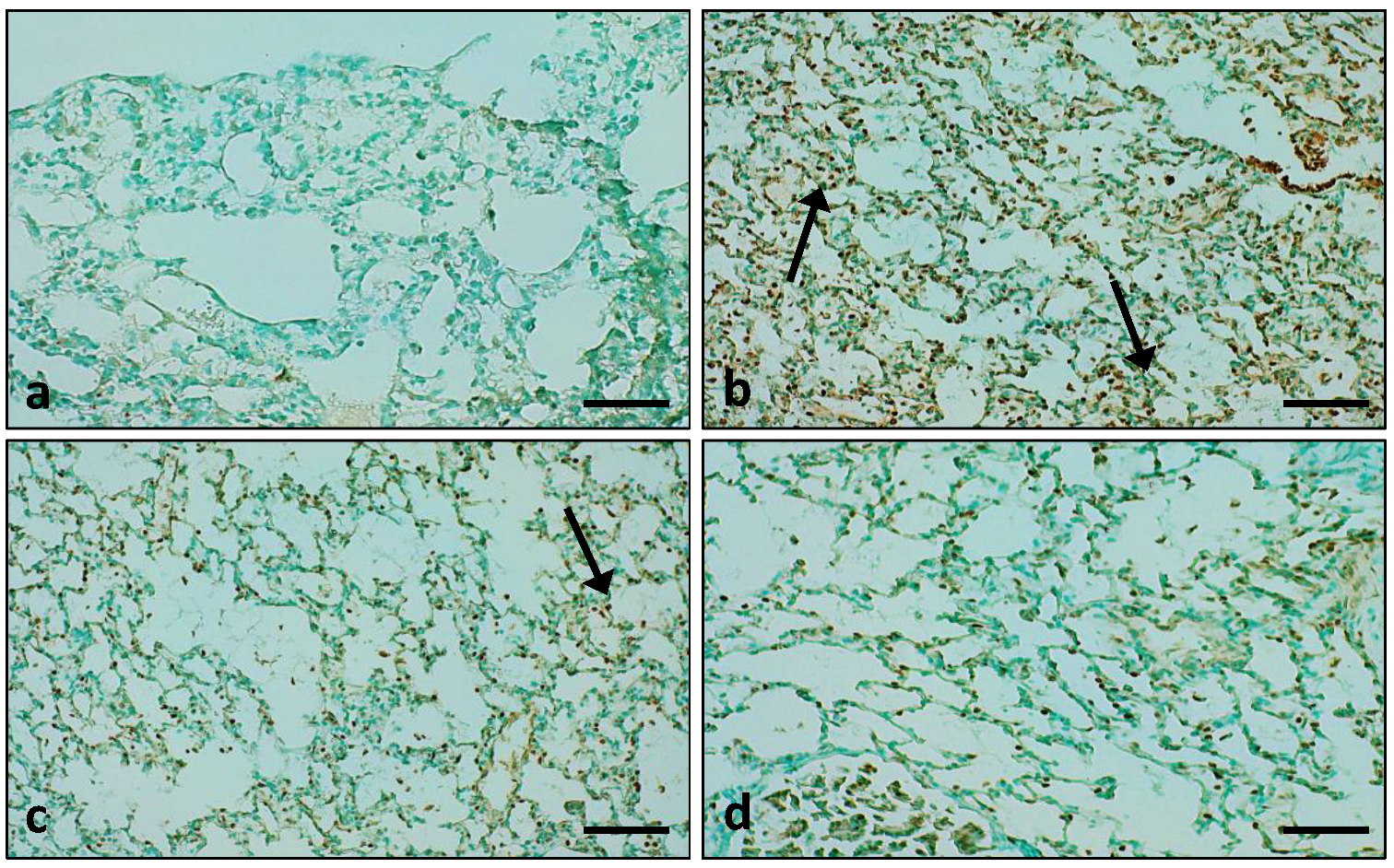 Applsci 12 09925 g013 Applsci 12 09925 g013