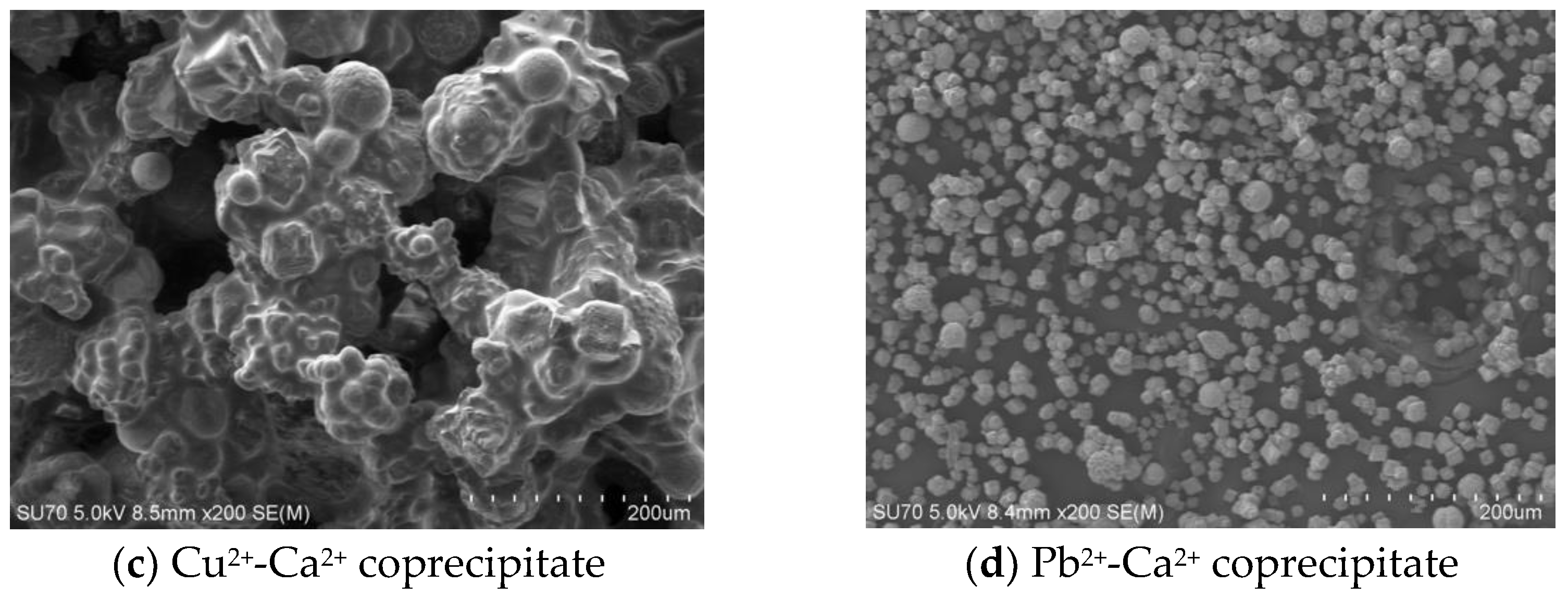 Applsci 12 09958 g010b