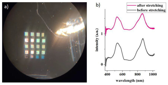 A molecular design approach towards elastic and multifunctional