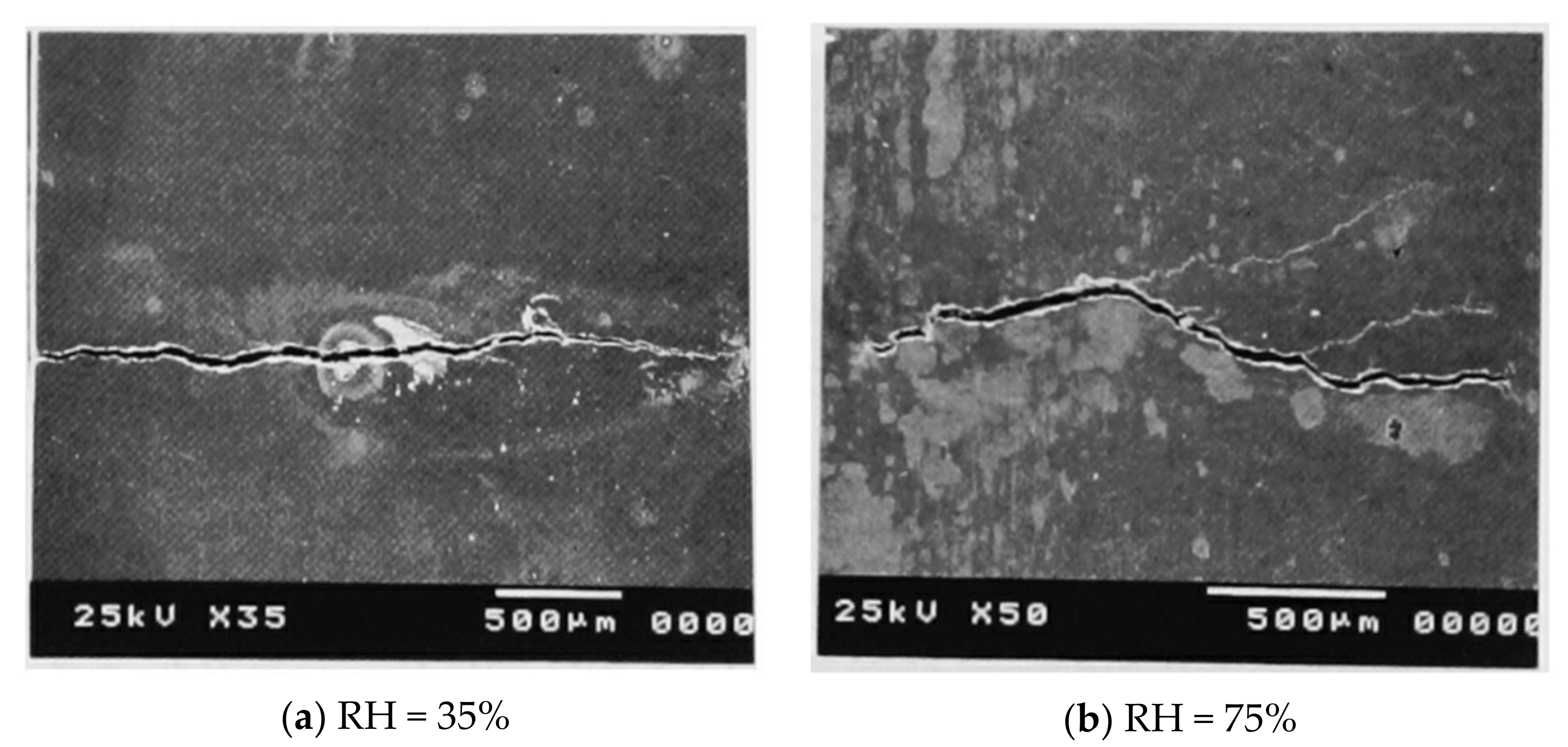 Applsci 12 10008 g005