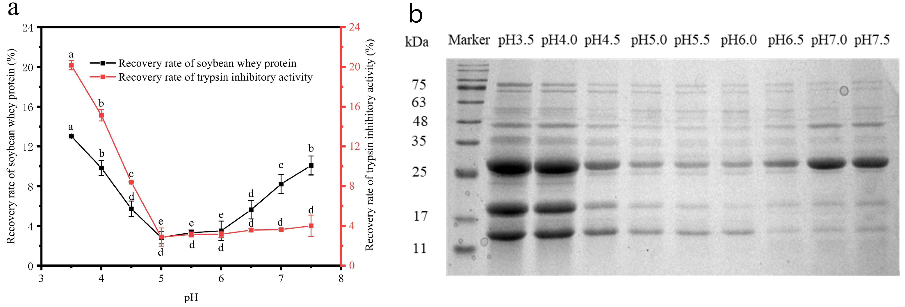 Applsci 12 10084 g002
