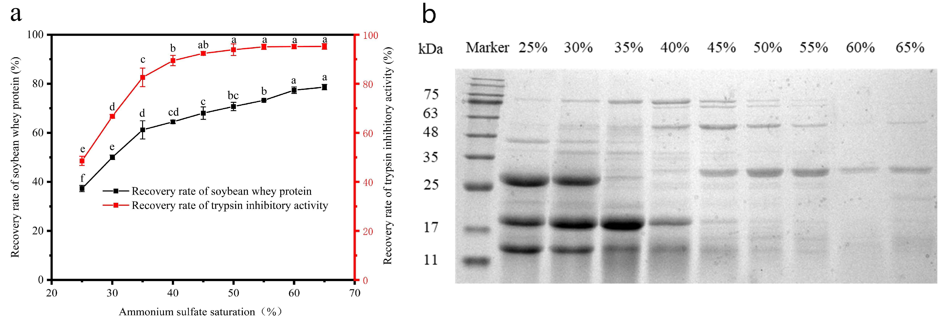 Applsci 12 10084 g003