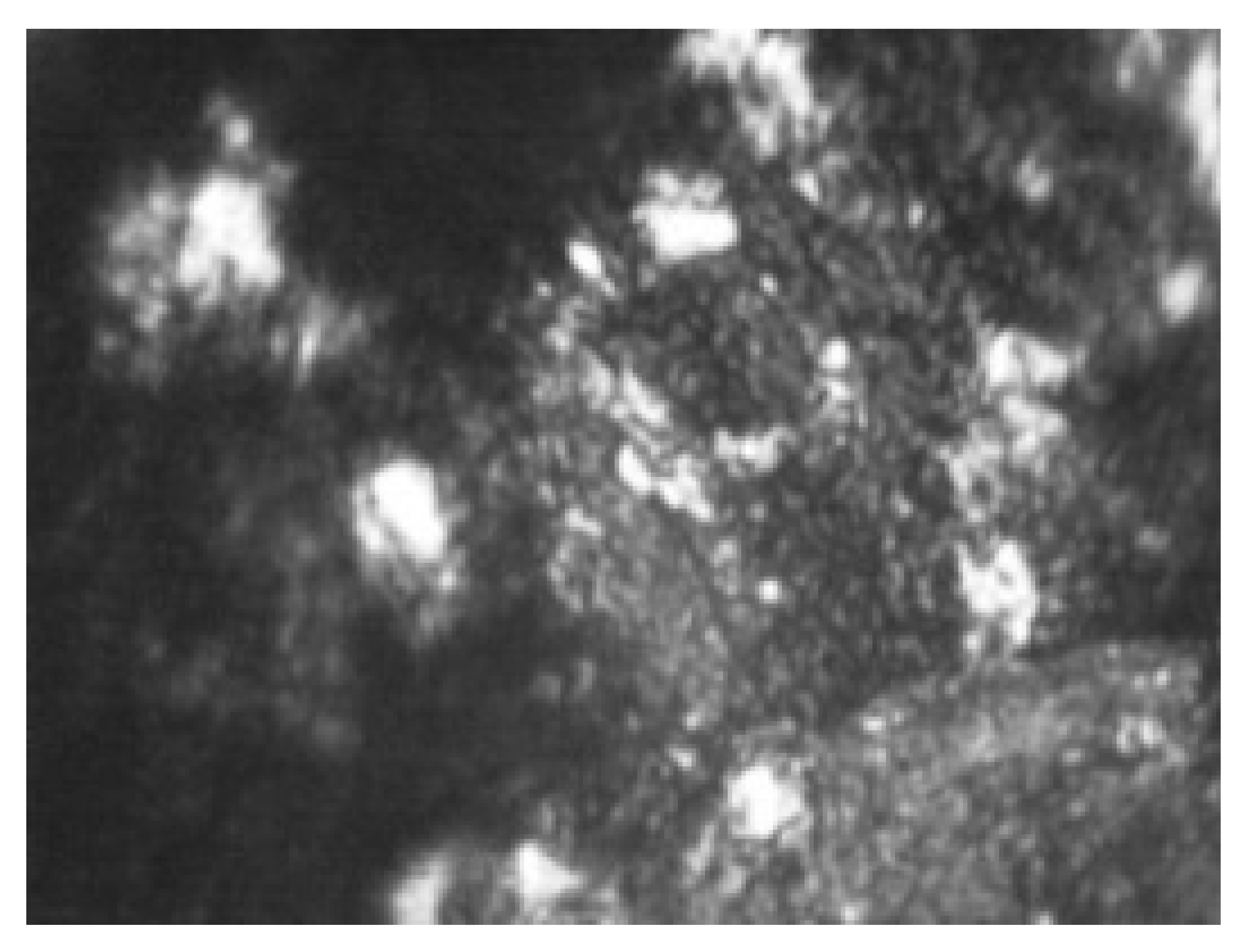 Applsci 12 10210 i005