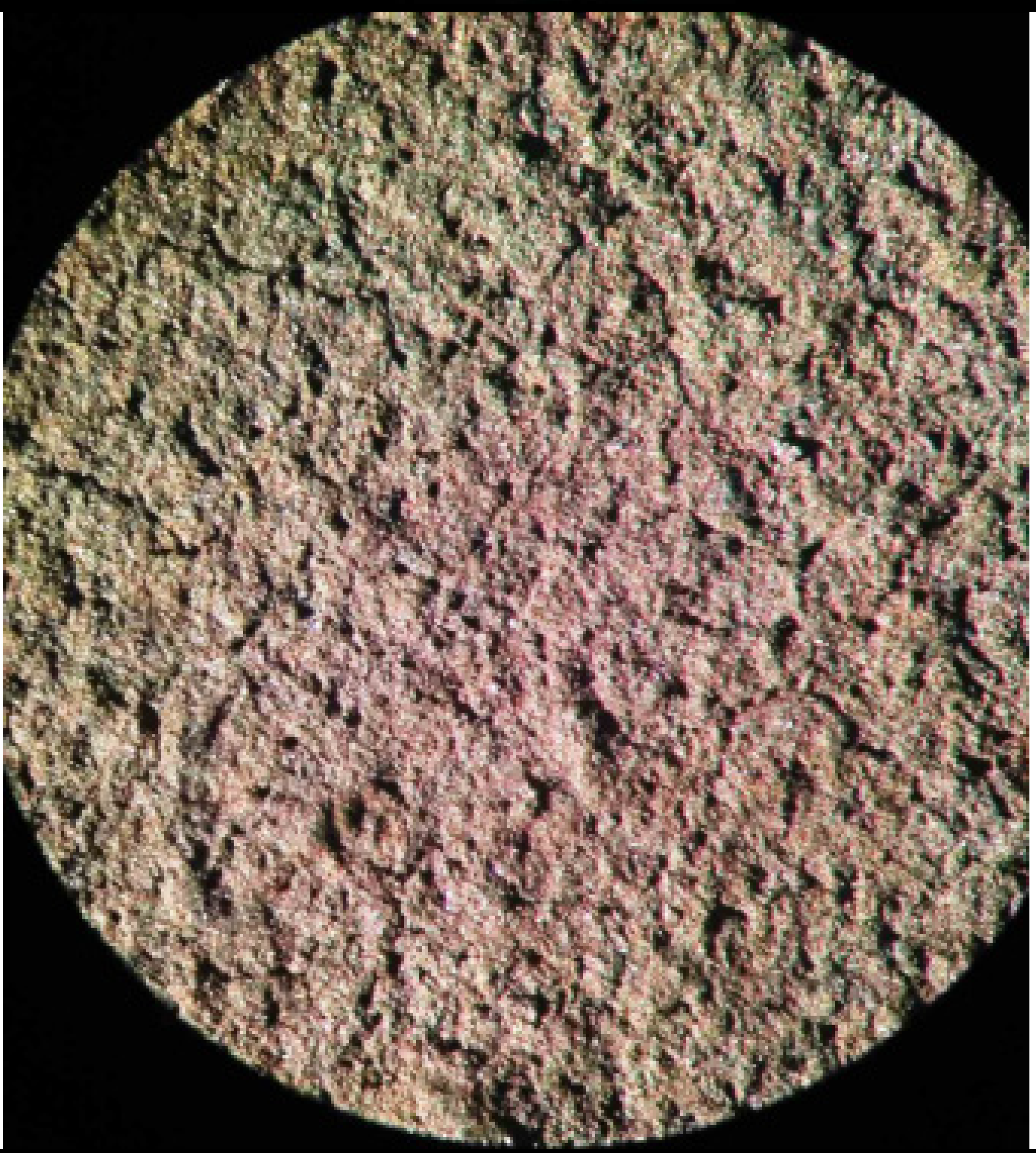 Applsci 12 10210 i006