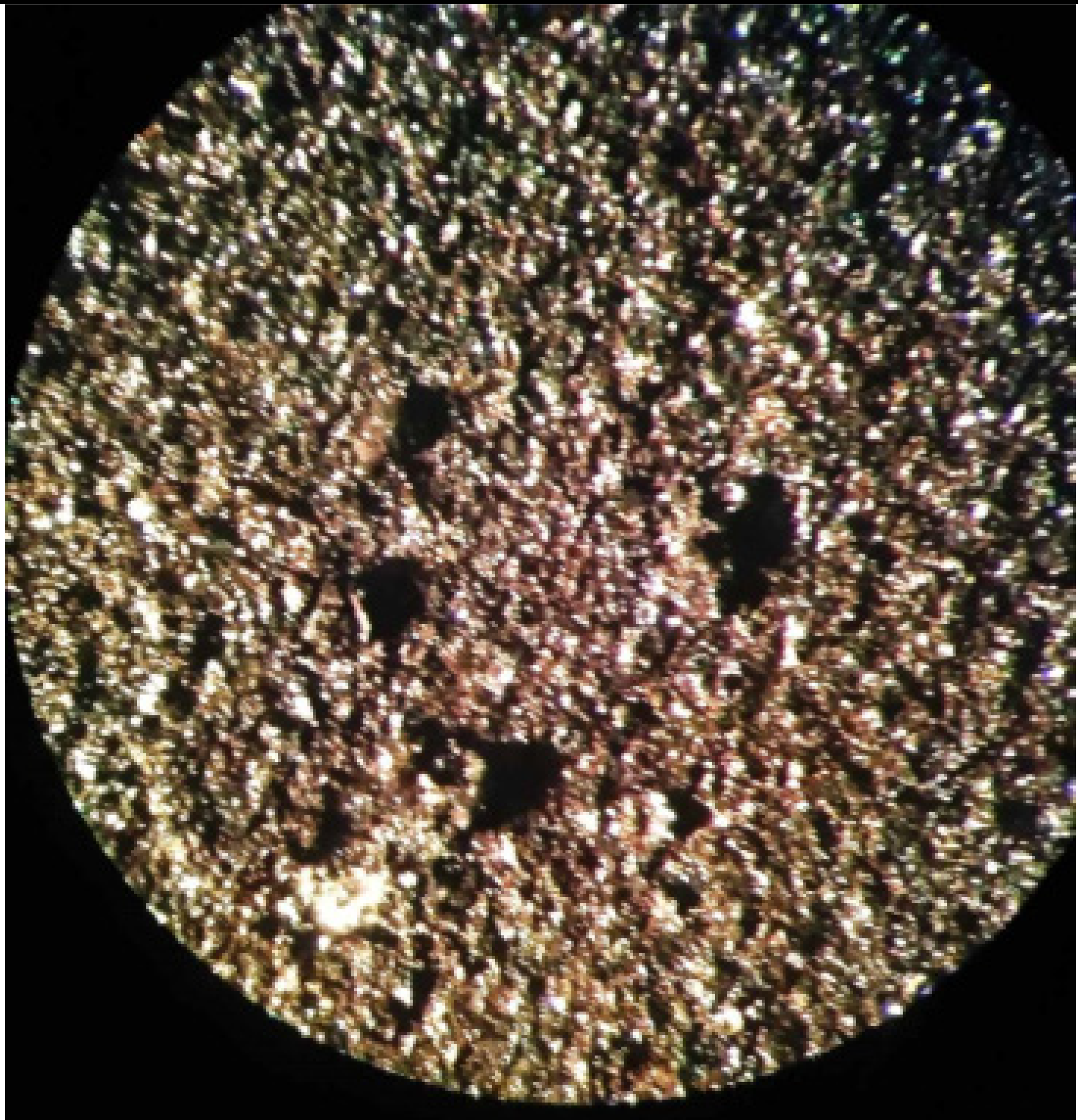 Applsci 12 10210 i008