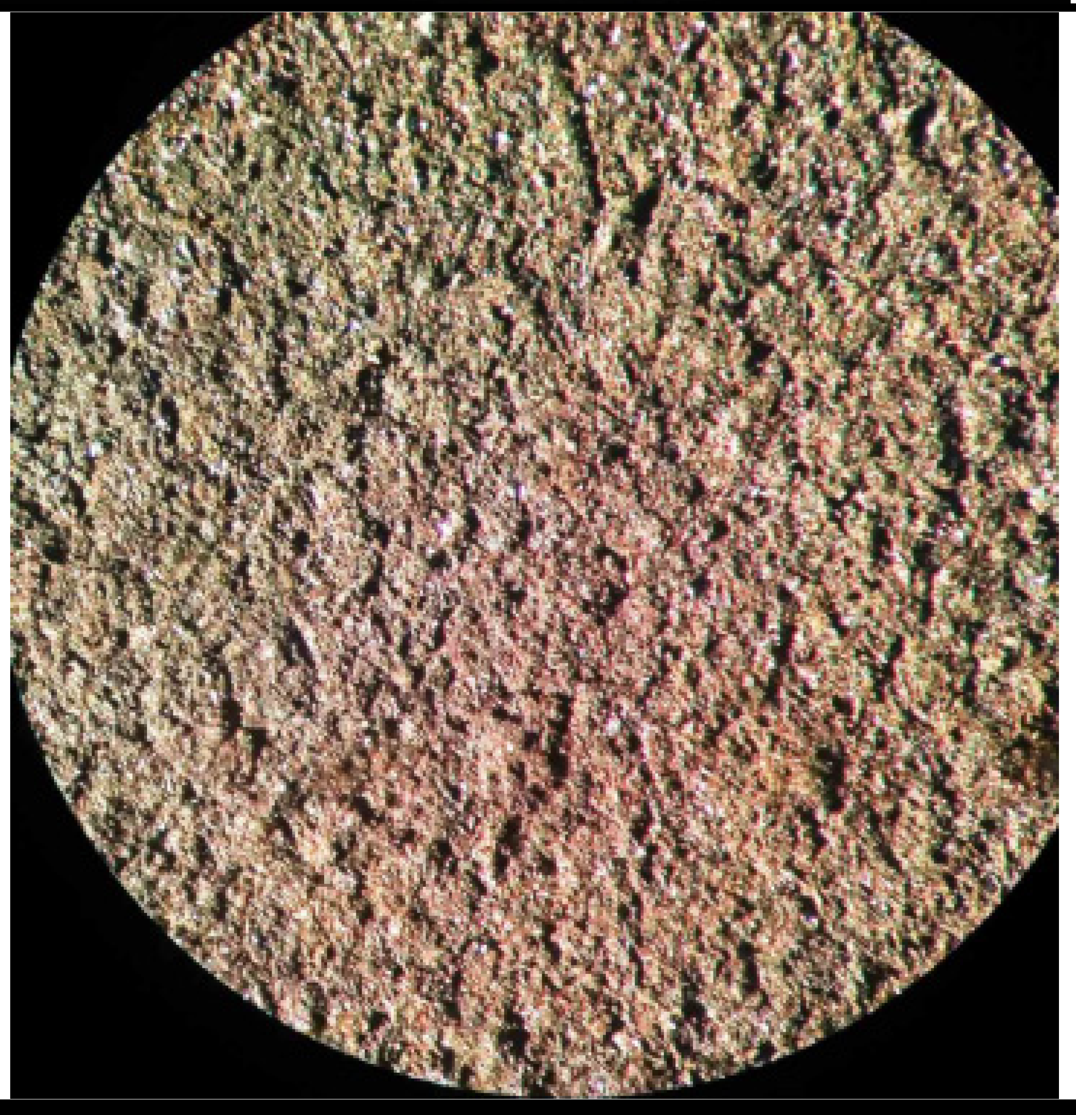 Applsci 12 10210 i010