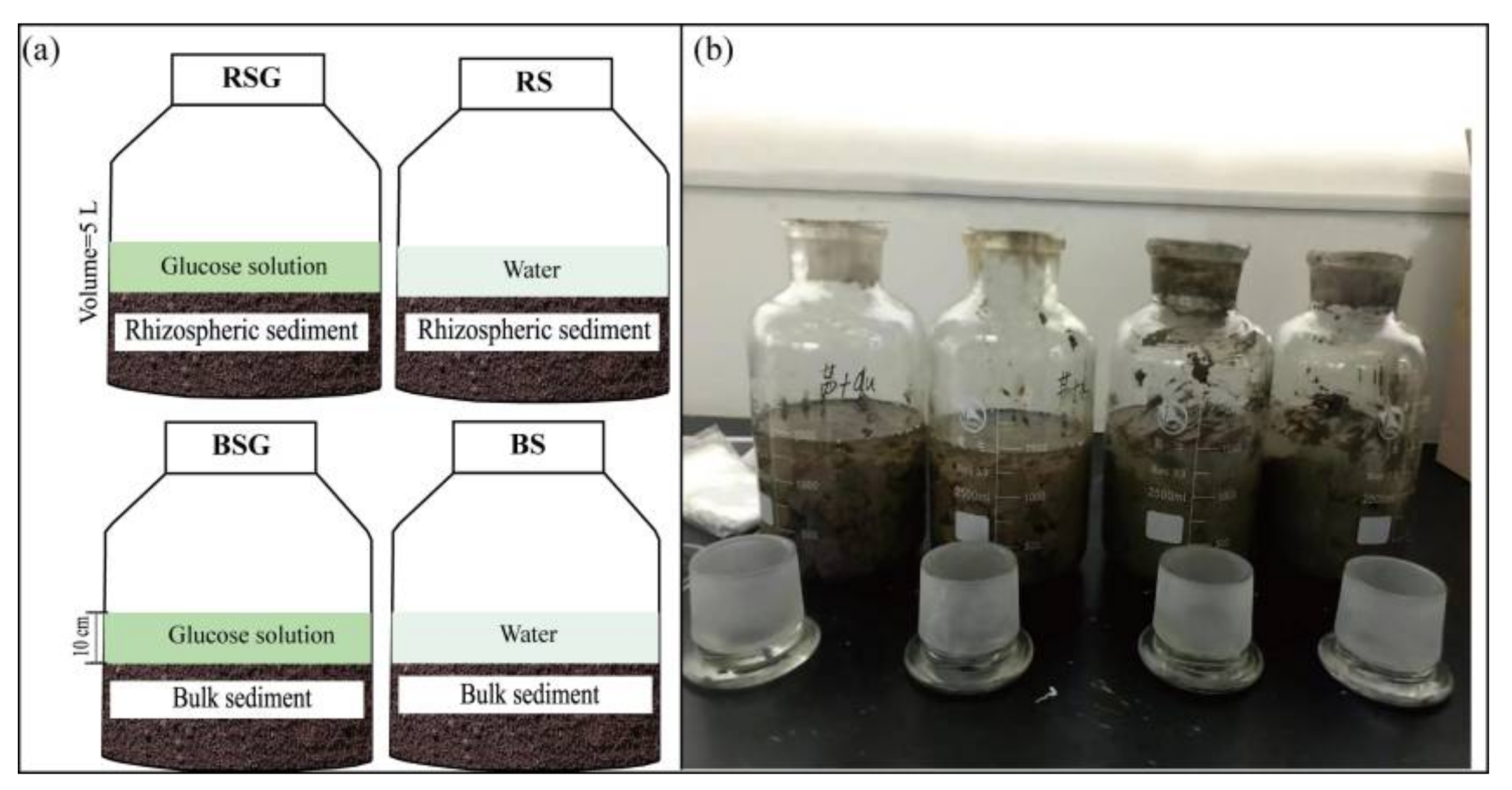 Applsci 12 10239 g001