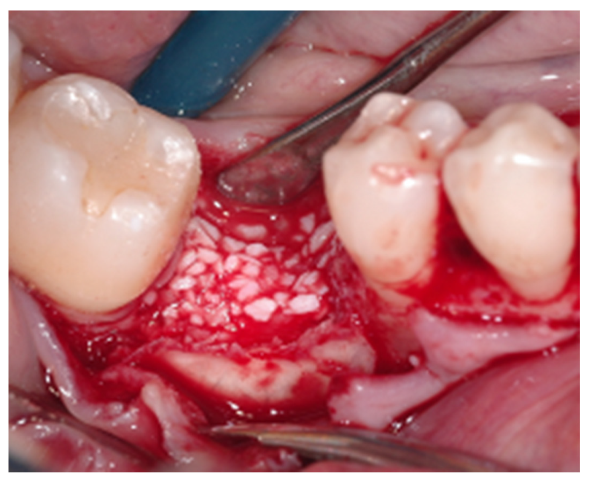 Applsci 12 10285 g001