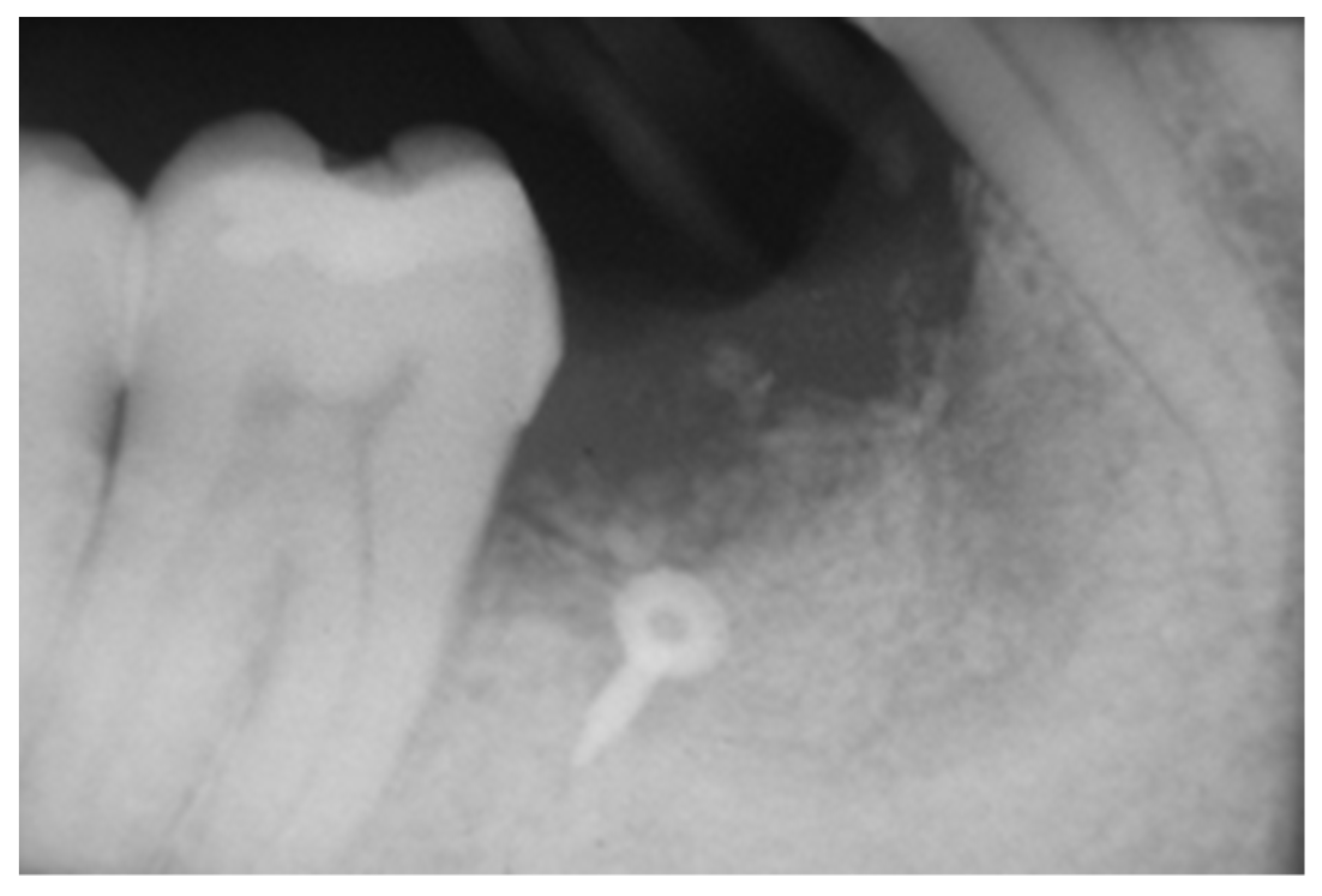 Applsci 12 10285 g004