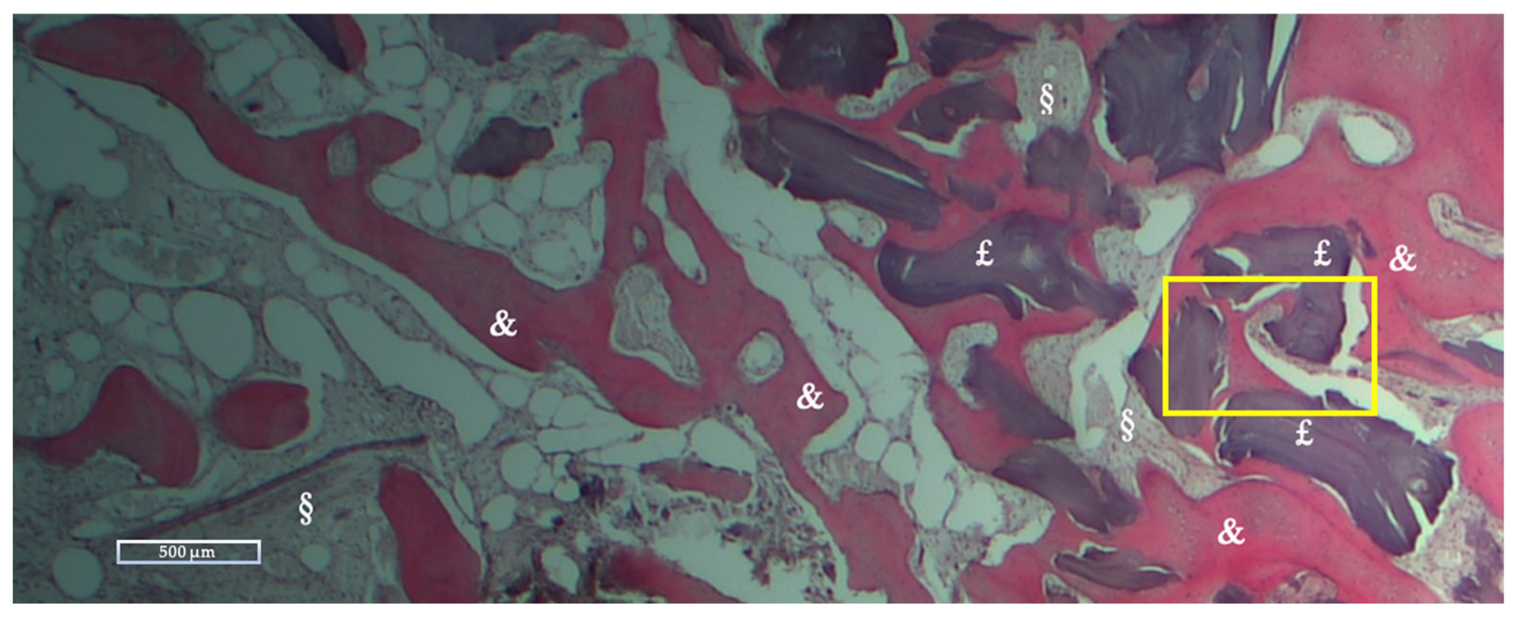 Applsci 12 10285 g006