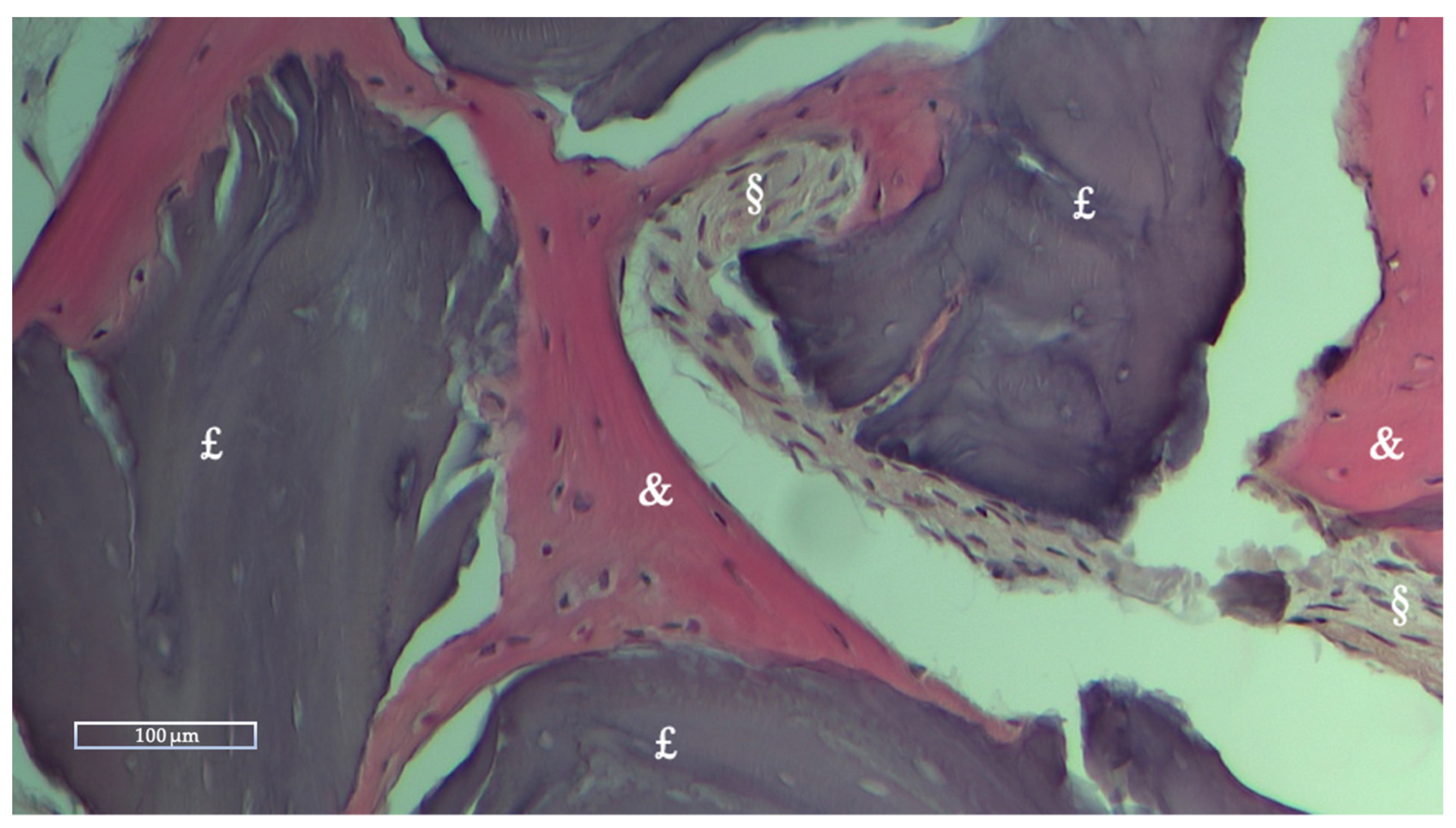 Applsci 12 10285 g007