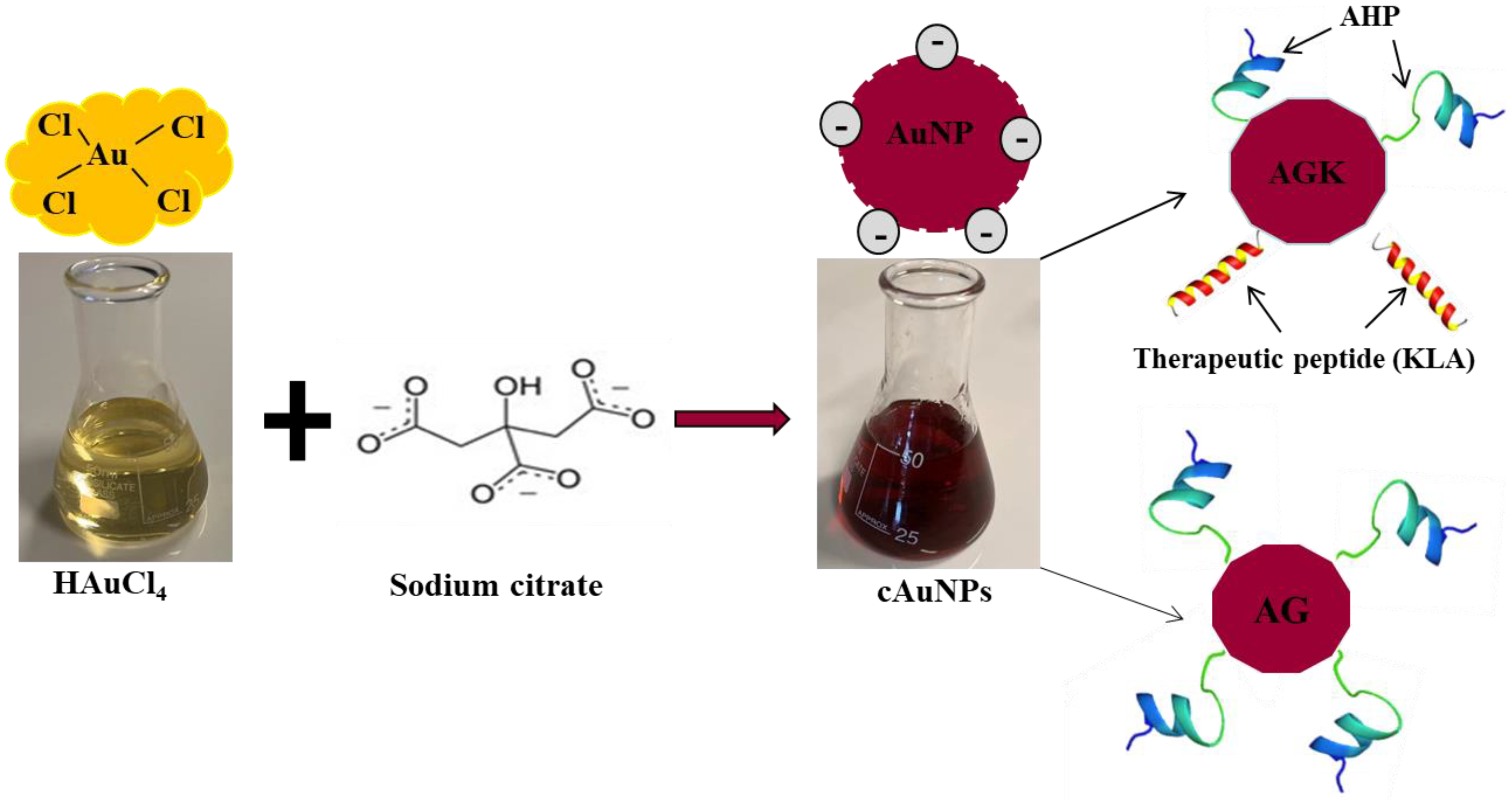 Applsci 12 10512 g001