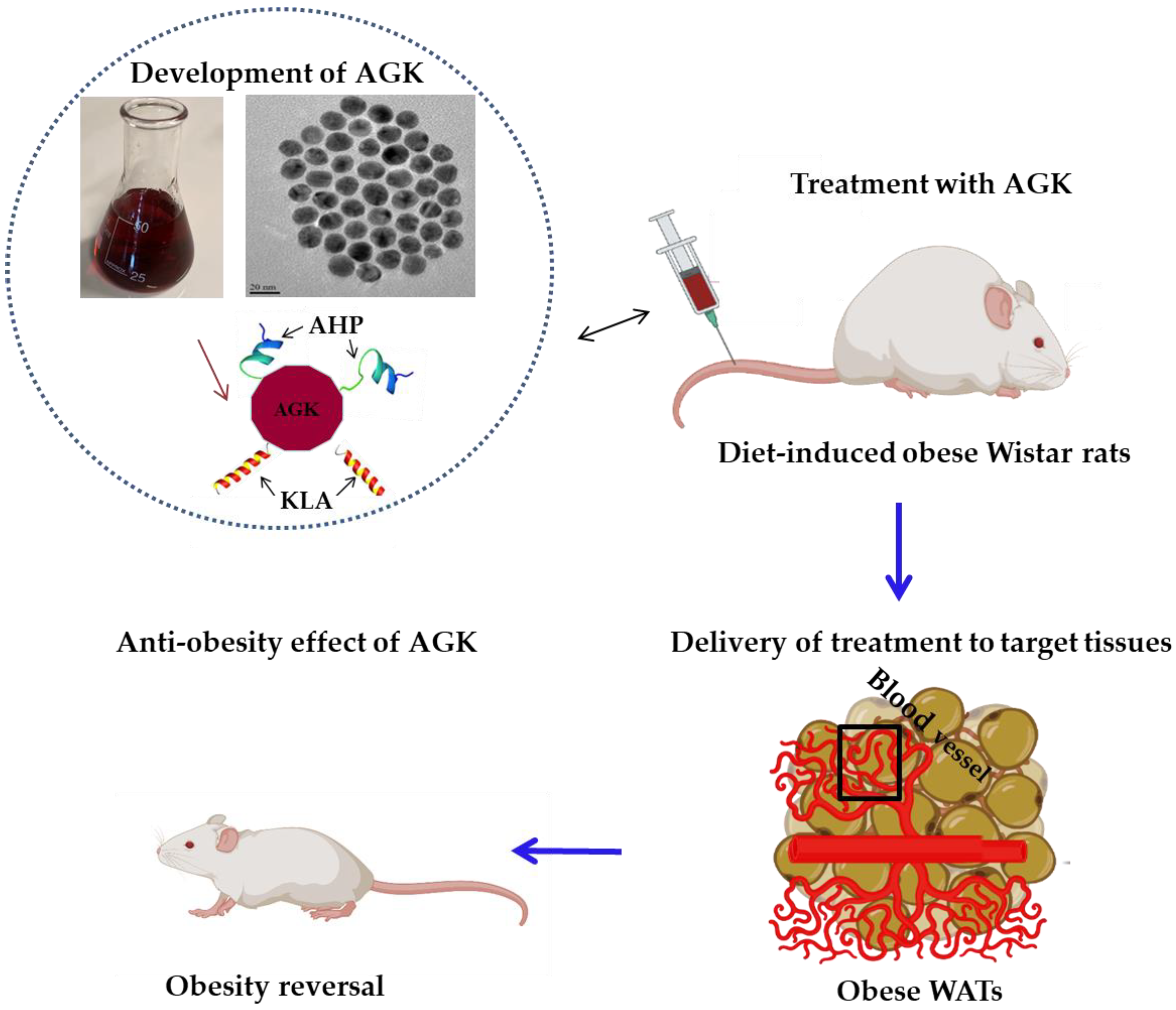 Applsci 12 10512 g003