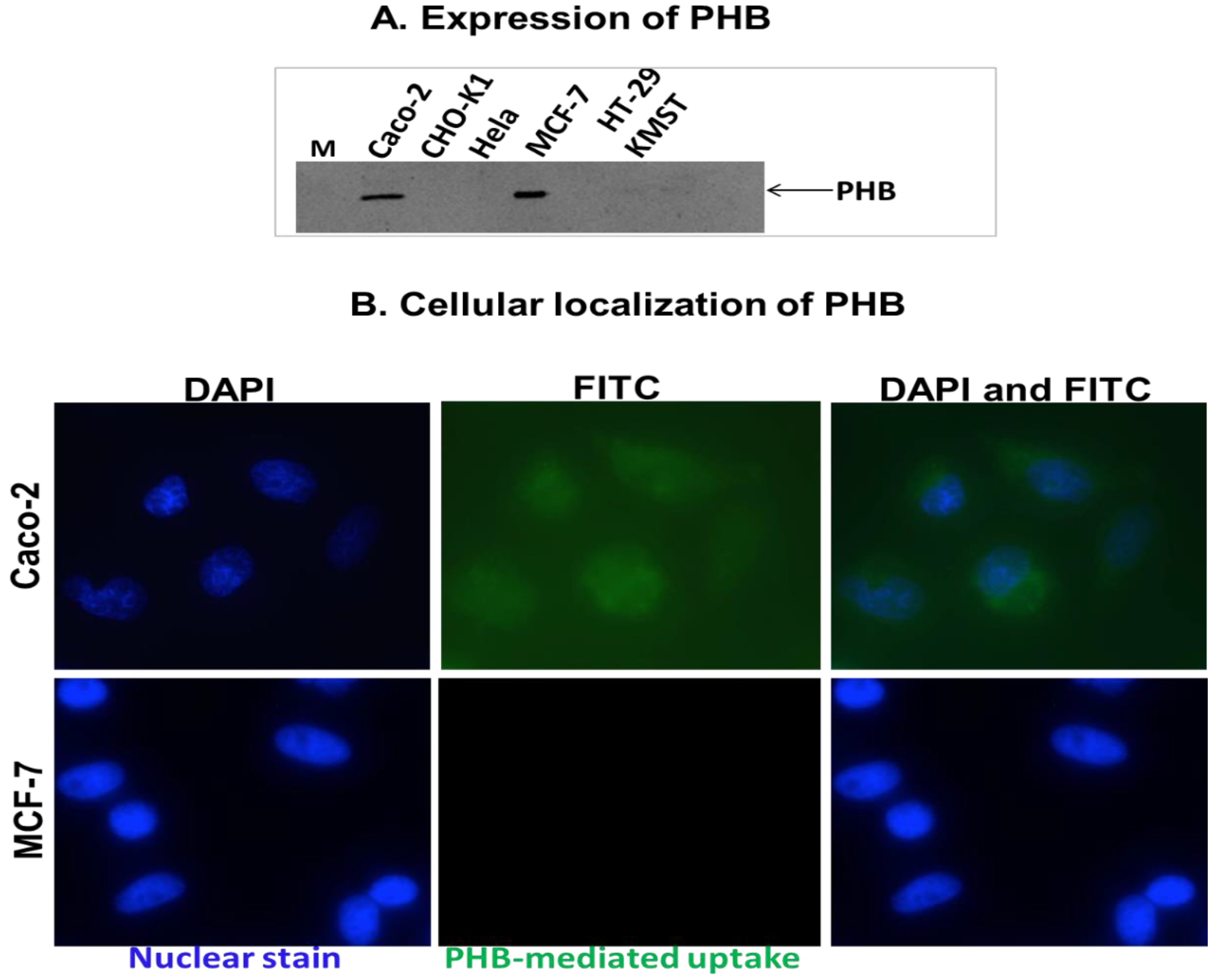 Applsci 12 10512 g004