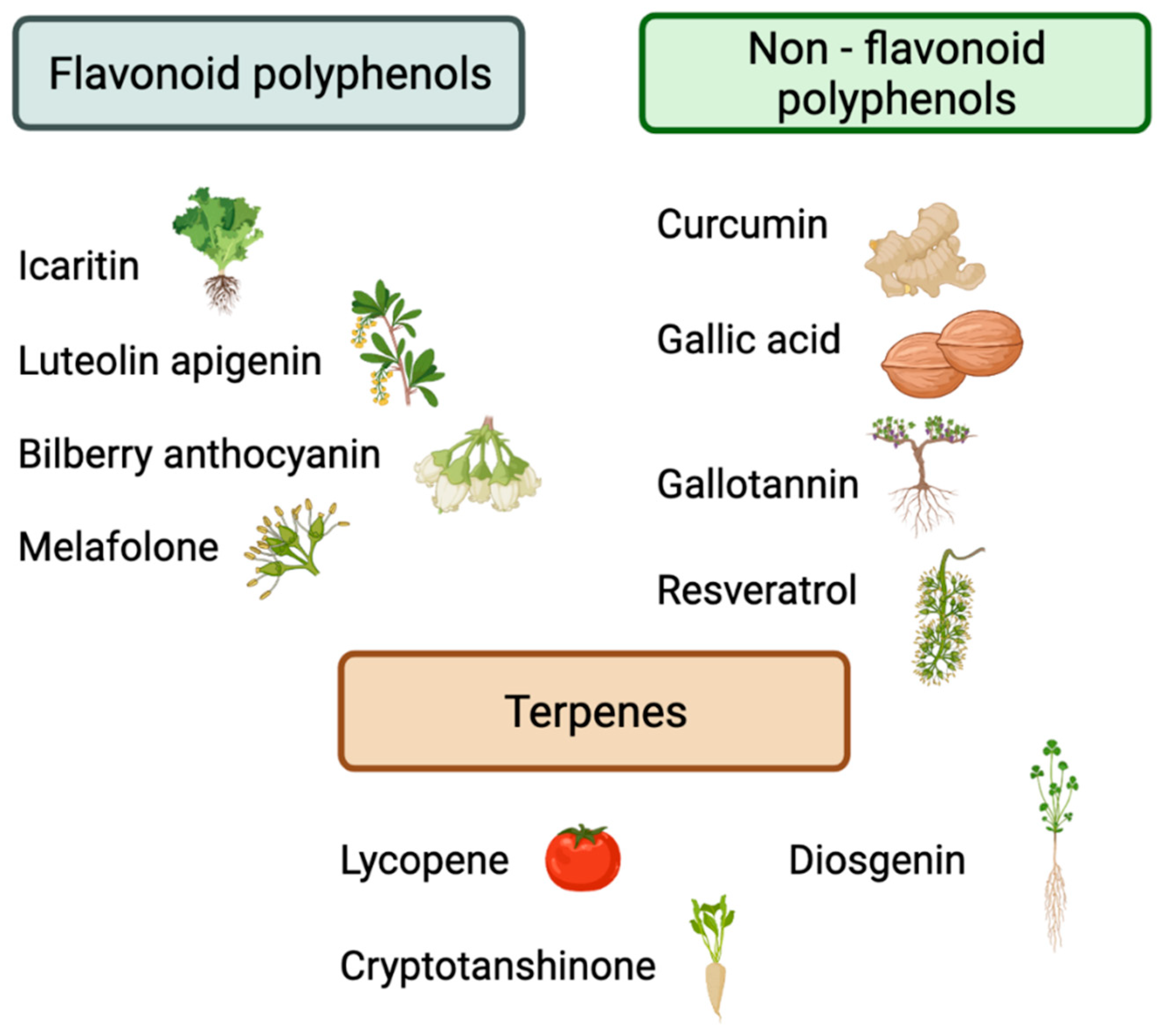 Applsci 12 10548 g002 Applsci 12 10548 g002
