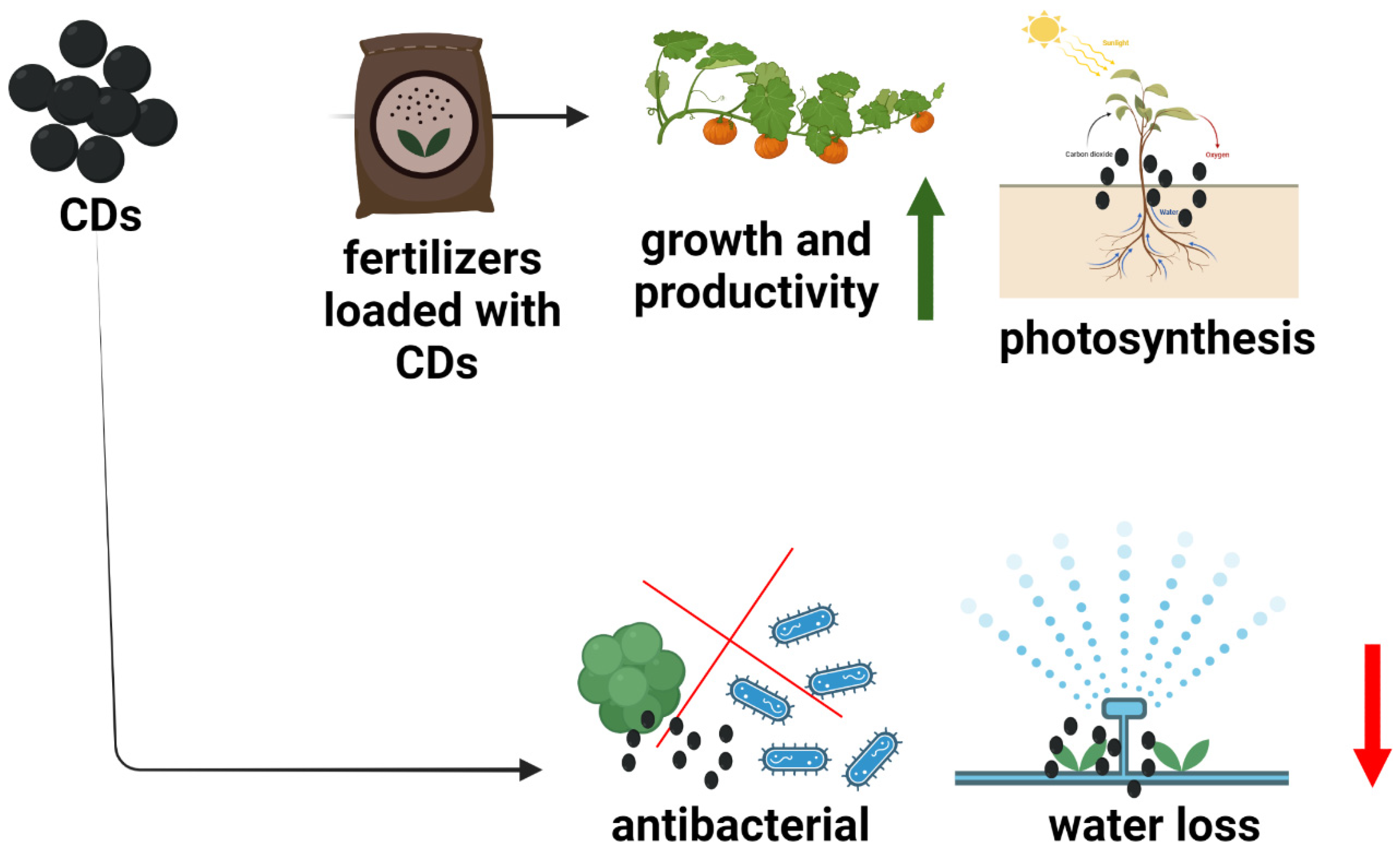 Applsci 12 10565 g003